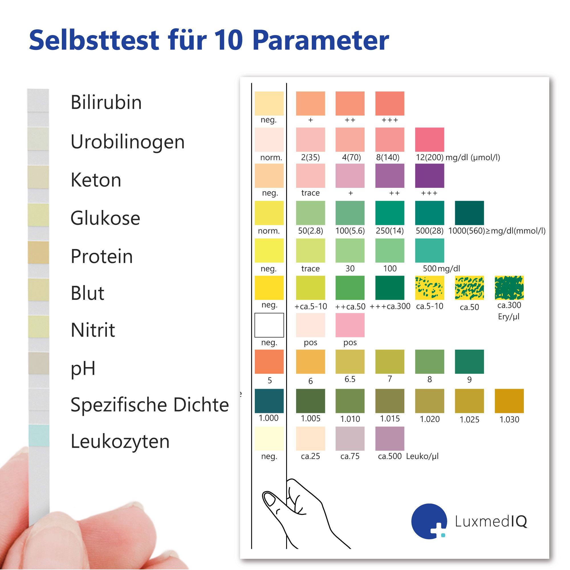 Striscia reattiva con scala cromatica. Scritta: Autotest per 10 parametri. Scala cromatica per bilirubina, urobilinogeno, chetoni, ecc.