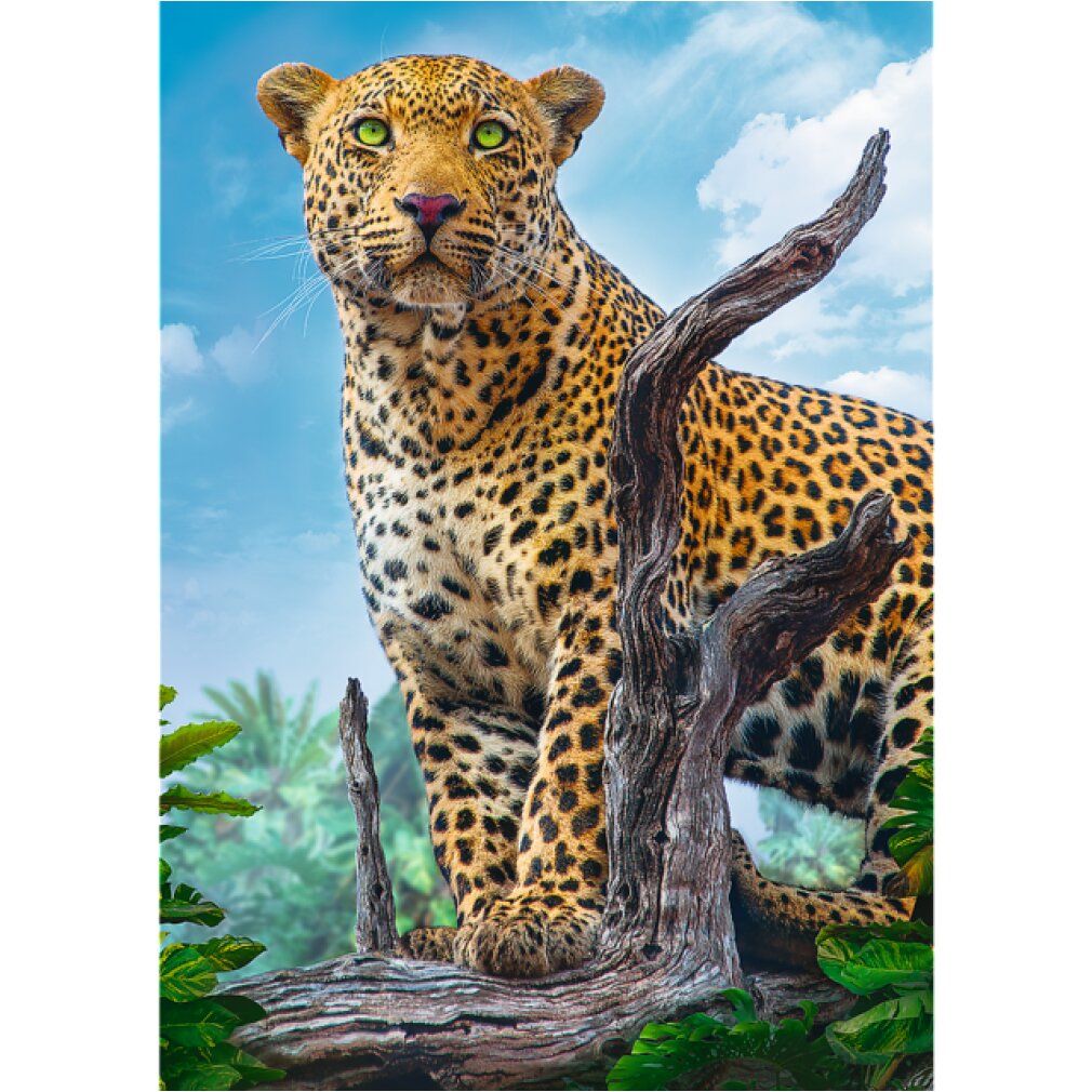 Puzzle premium 500 pezzi - leopardo selvatico