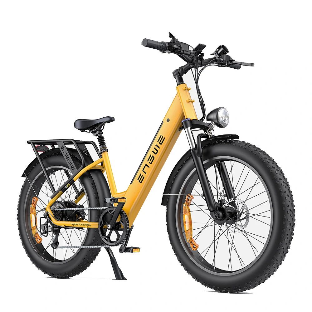 Bicicletta elettrica fuoristrada ENGWE E26 ST per adulti 250W, 48V 16AH