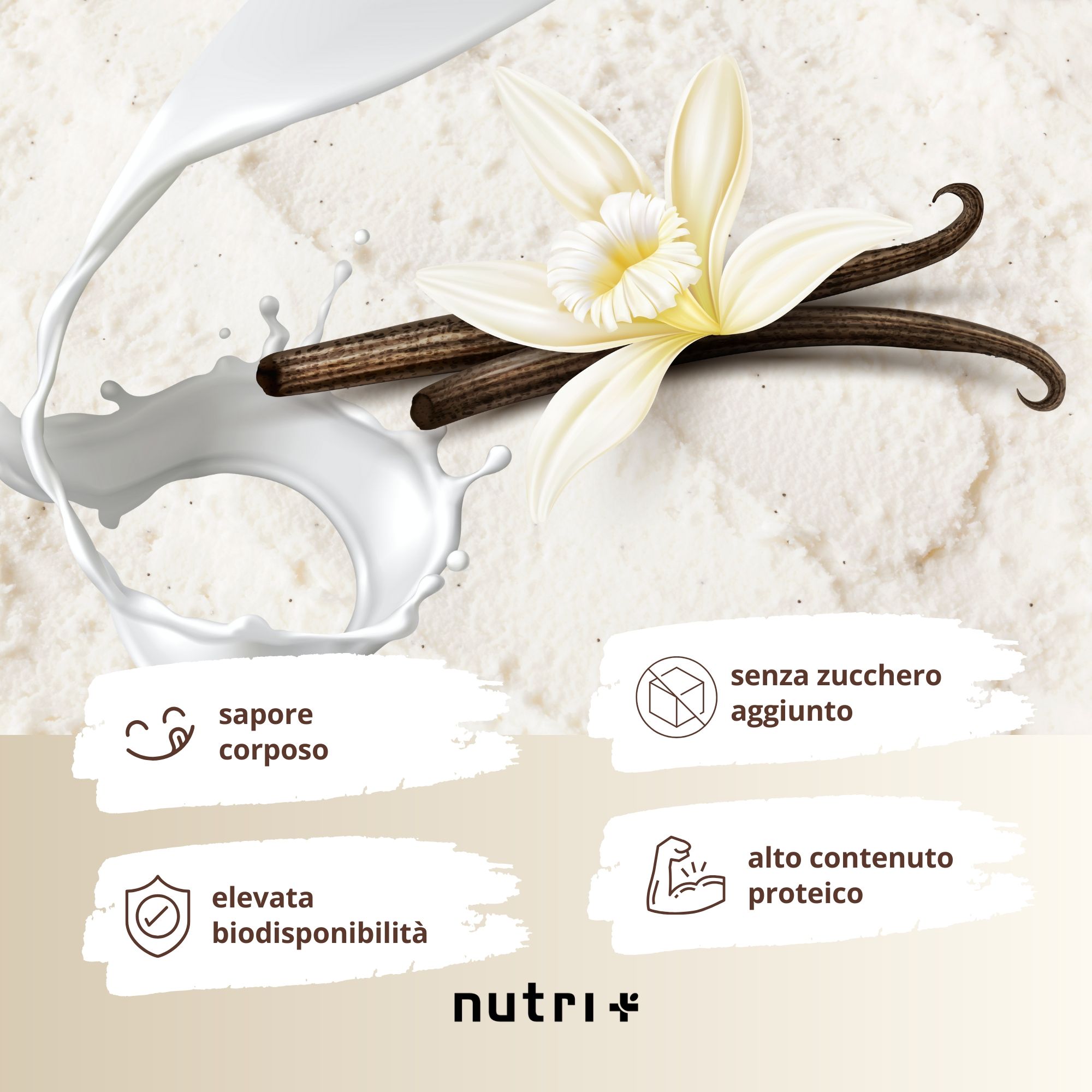 Fiore e baccelli di vaniglia con schizzi di latte. Simboli con testo: sapore corposo, senza zuccheri aggiunti, alta biodisponibilità, alto contenuto proteico. Logo nutri+.