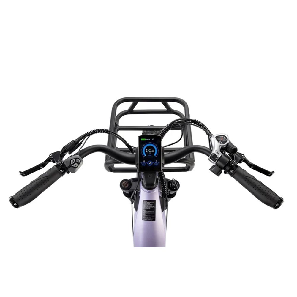 Manubrio della bicicletta con display, manopole e comandi. Colore nero. Cestino anteriore visibile.