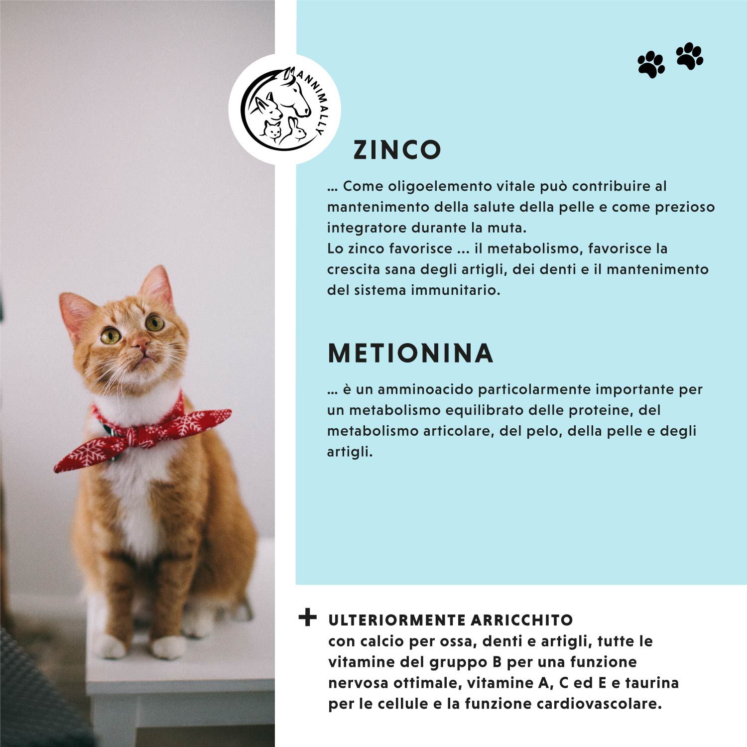 Testo su sfondo blu. Logo. Gatto con collare rosso. Testo: Zinco, Metionina. Ingredienti aggiuntivi.