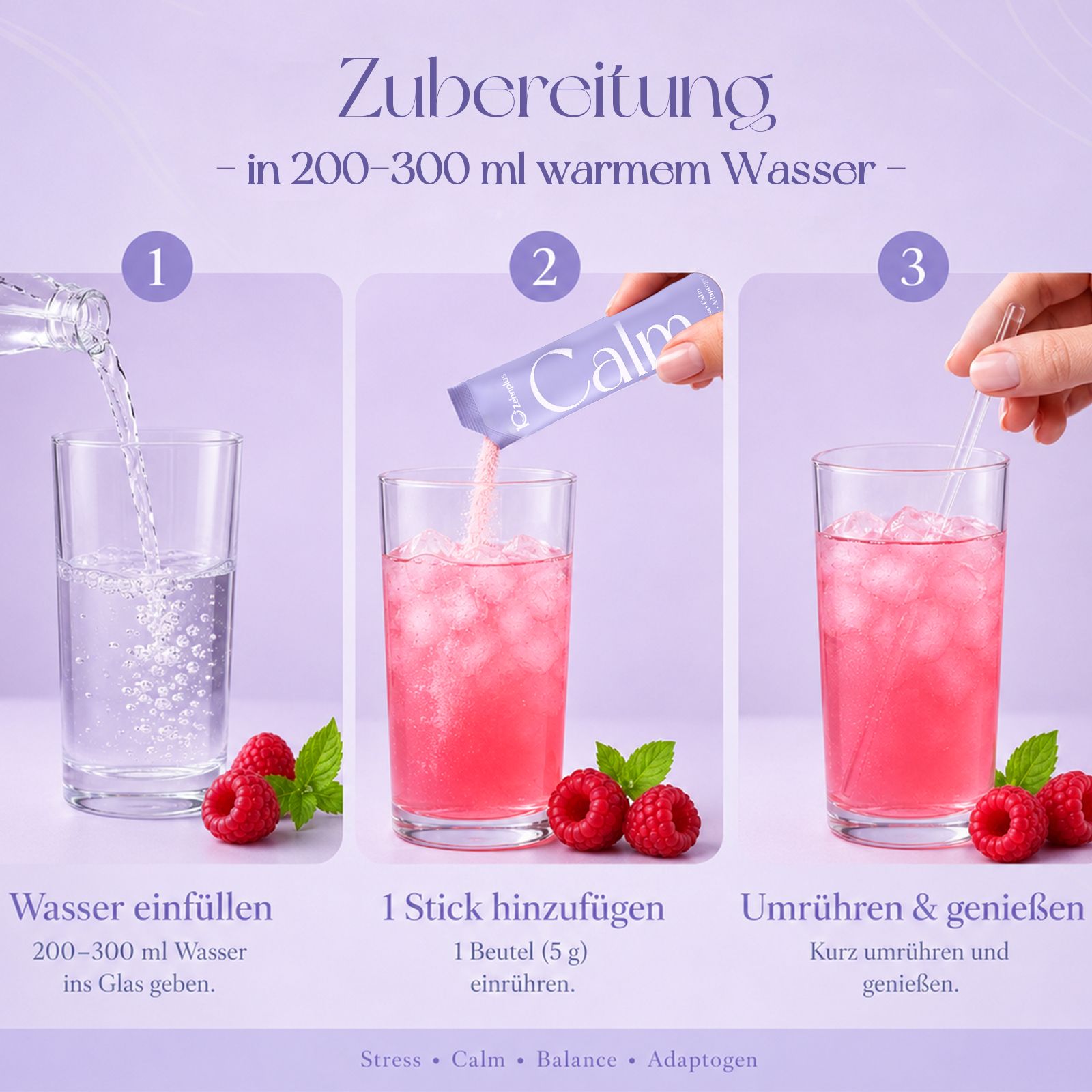 Zehnplus Cortisol Balance Polvere