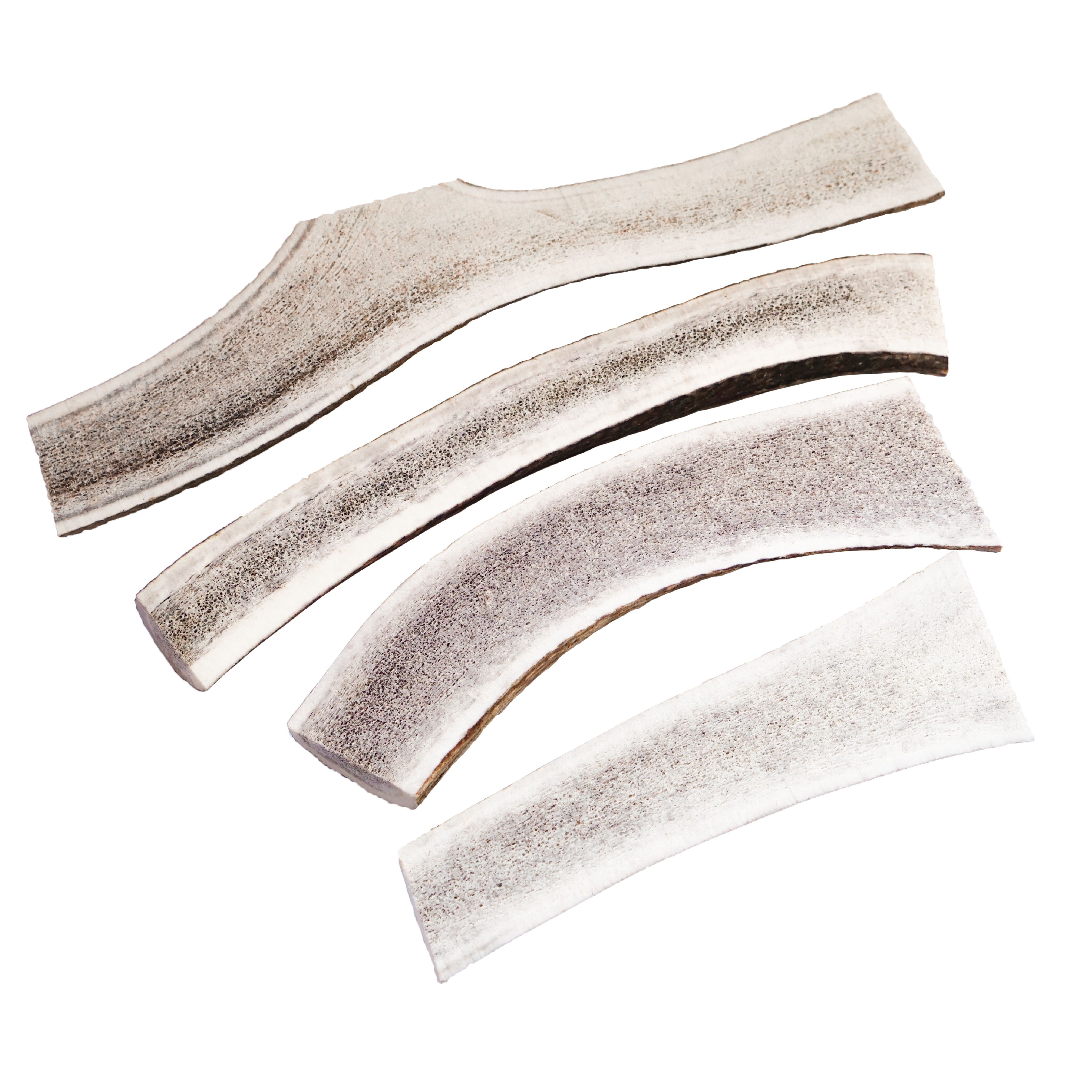 Pezzi di corna di cervo dimezzati. Cinque pezzi chiari con bordi arrotondati. I pezzi sono leggermente curvi e posti su sfondo bianco.