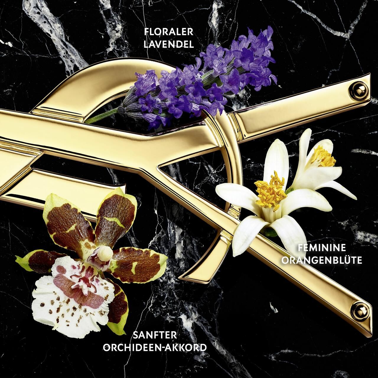 Primo piano del logo dorato con lavanda, fiori d'arancio e accordo di orchidea. Testo: LAVANDA FLOREALE, FIORE D'ARANCIO FEMMINILE, ACCORDO ORCHIDEA DELICATO.