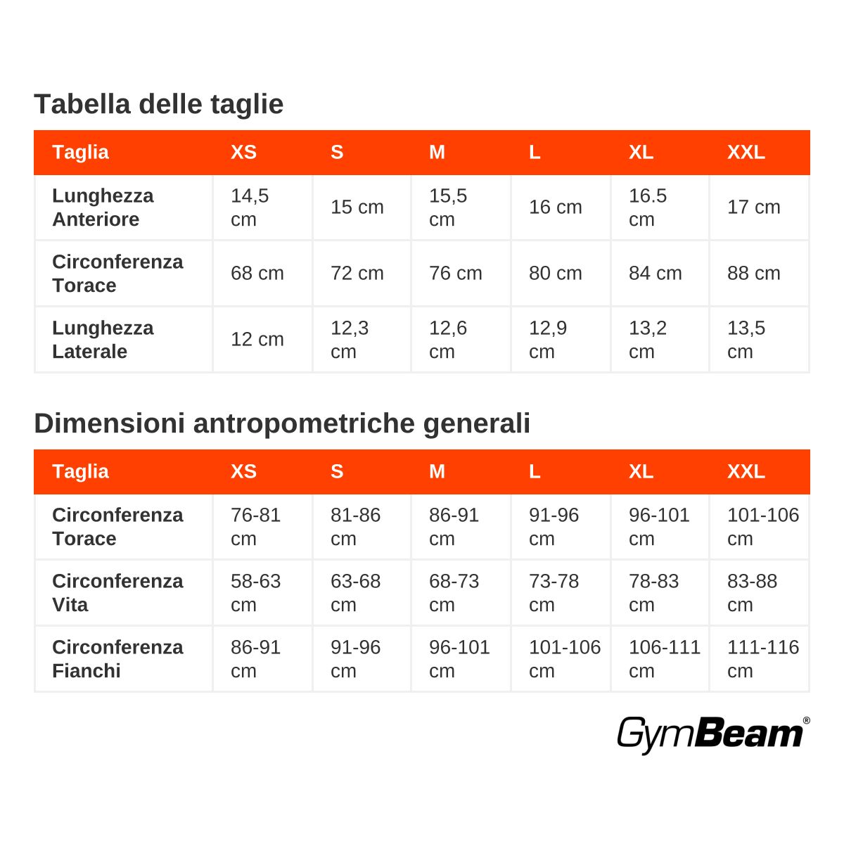 GymBeam Reggiseno sportivo donna con zip Prime Pearl