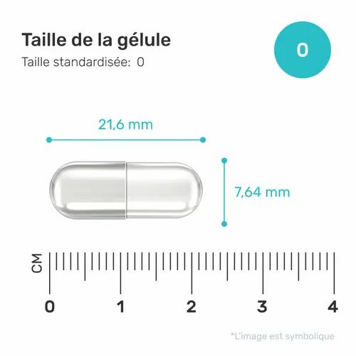 Dimensione capsula 0. Misure: 21,6 mm di lunghezza, 7,64 mm di diametro. Capsula trasparente con scala cm.