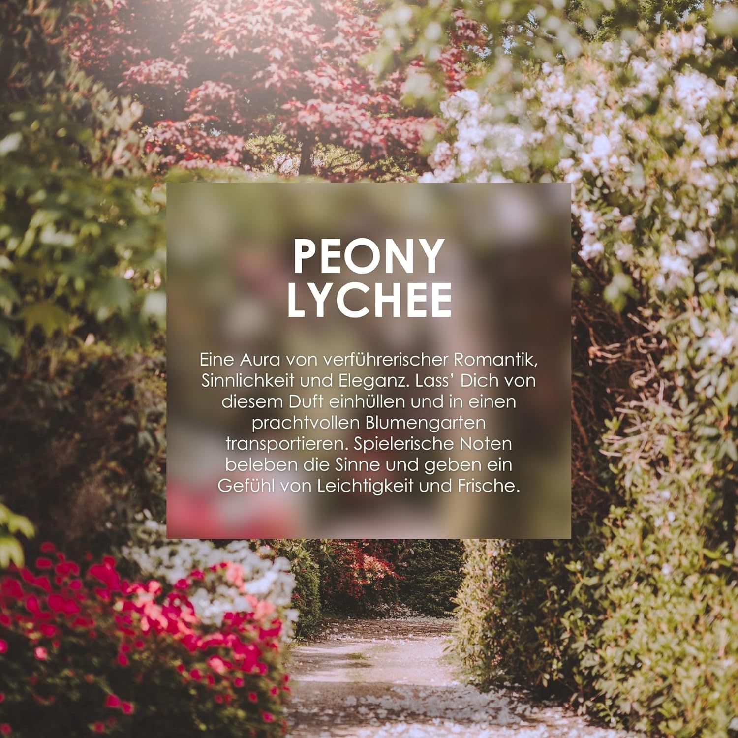 Testo: PEONY LYCHEE. Descrizione della fragranza in un giardino.