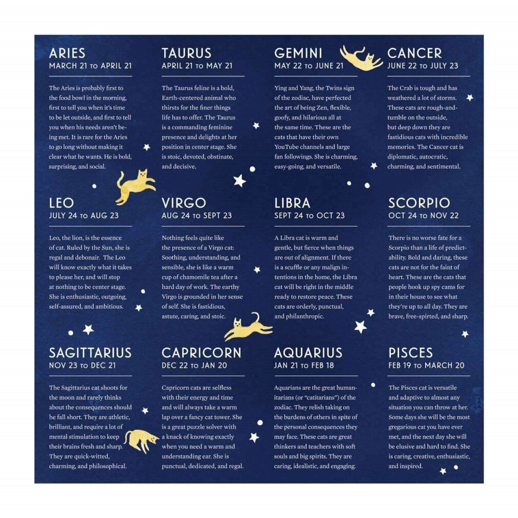 galison Puzzle quadrato Gatto Zodiaco 500 pezzi