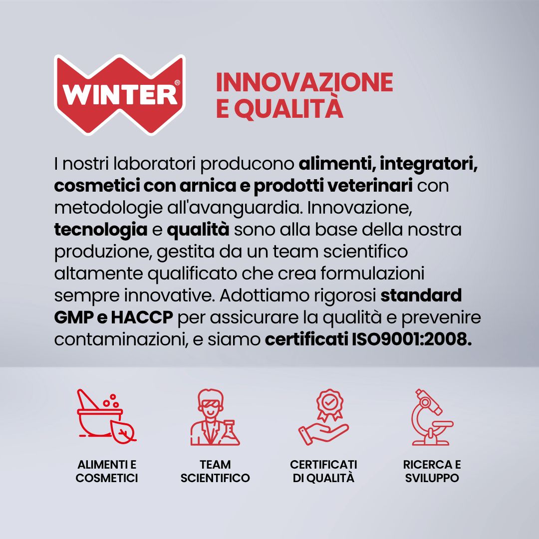 Logo Winter, testo su innovazione e qualità, icone.