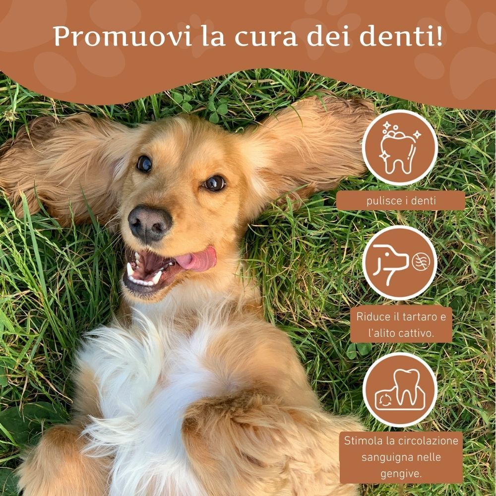 Cane sull'erba. Testo: Promuove la cura dei denti! Icone: pulisce i denti, riduce il tartaro, favorisce la circolazione.