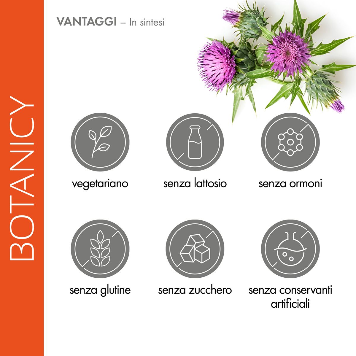 Simboli per Botanicy Complesso FIT FEGATO. Vegetariano, senza lattosio, senza ormoni, senza glutine, senza zucchero, senza conservanti artificiali.