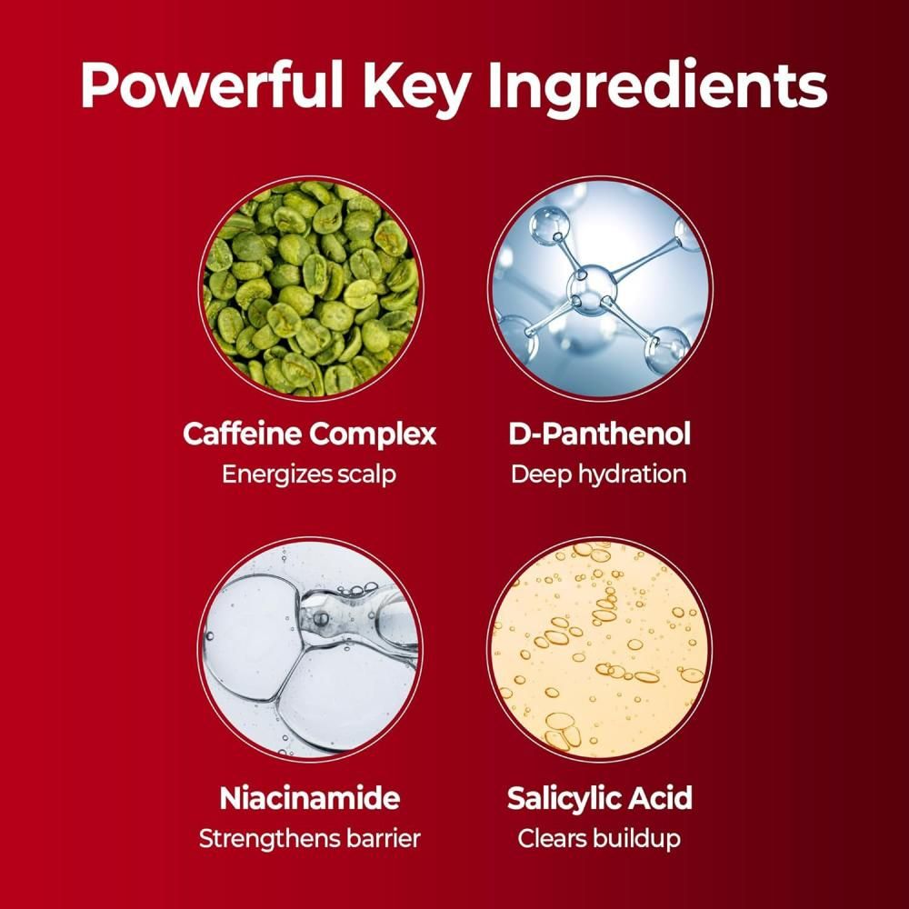 Grafica degli ingredienti chiave dello shampoo KUNDAL: Complesso di caffeina, D-Pantenolo, Niacinamide, Acido salicilico.