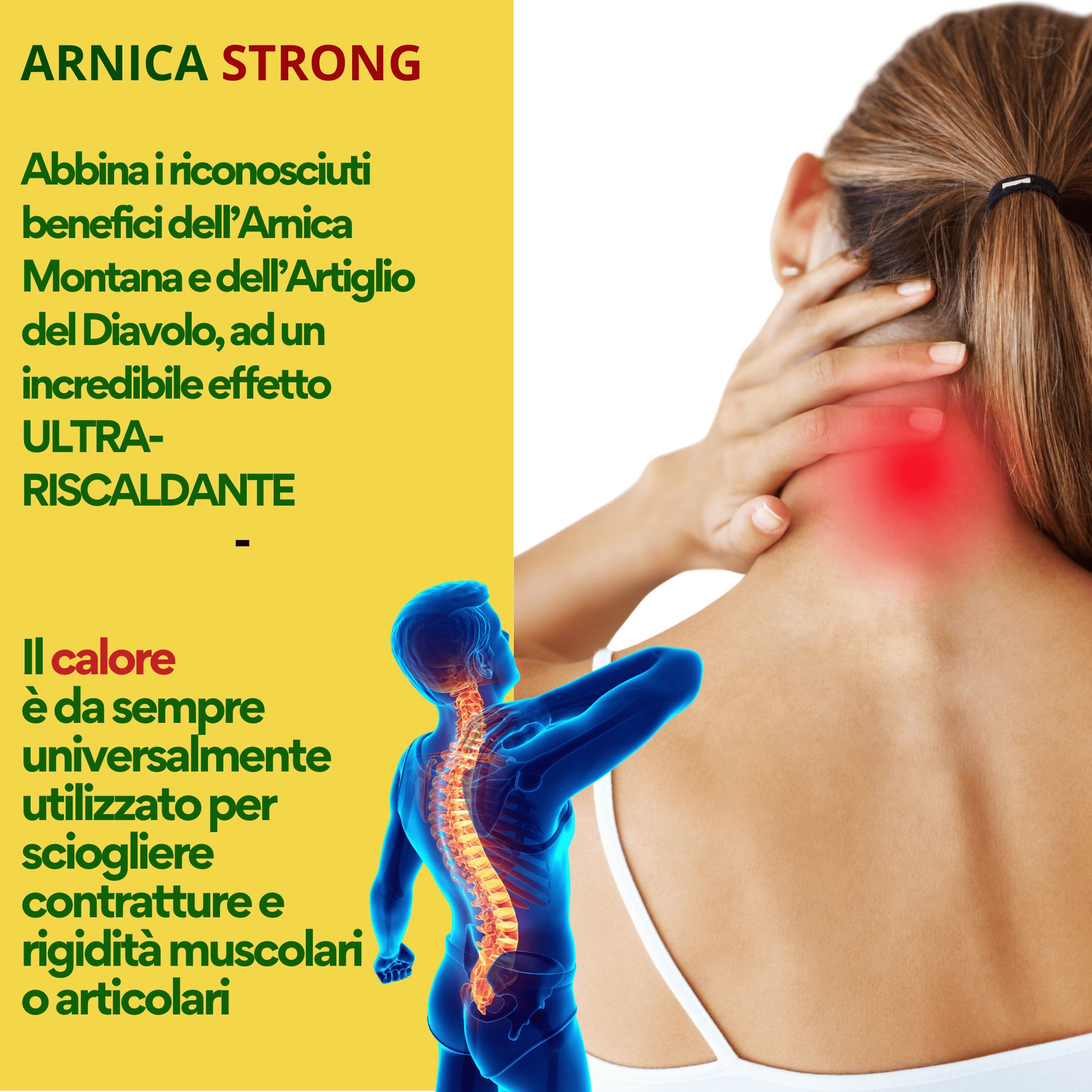 AMBIOPH - Arnica gel Forte - Arnica per cavalli uso amano e l'artiglio Del Diavolo
