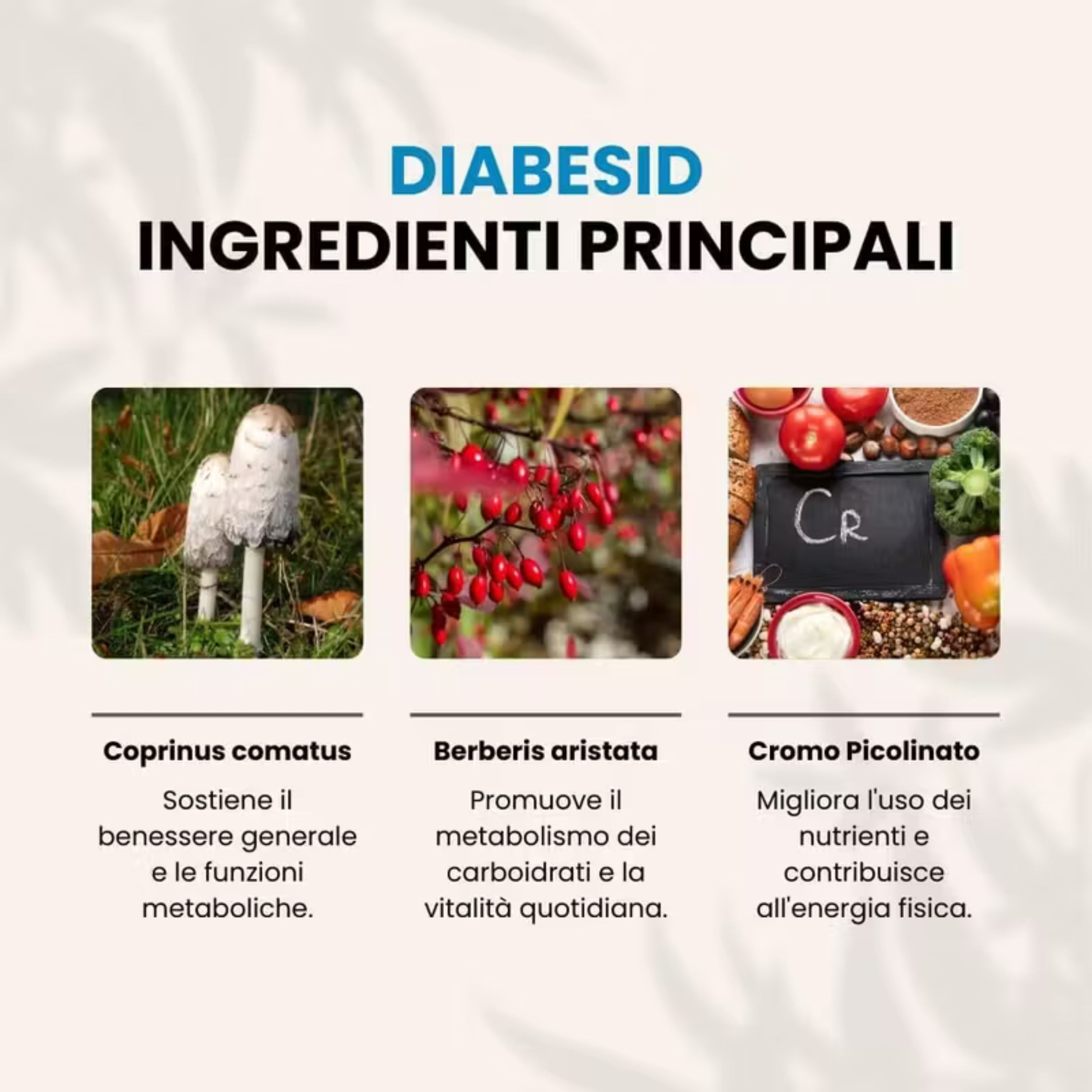 Elleci Farma Diabesid – Integratore Metabolismo Glucosio con Cromo, Berberis e Coprinus 30 cps