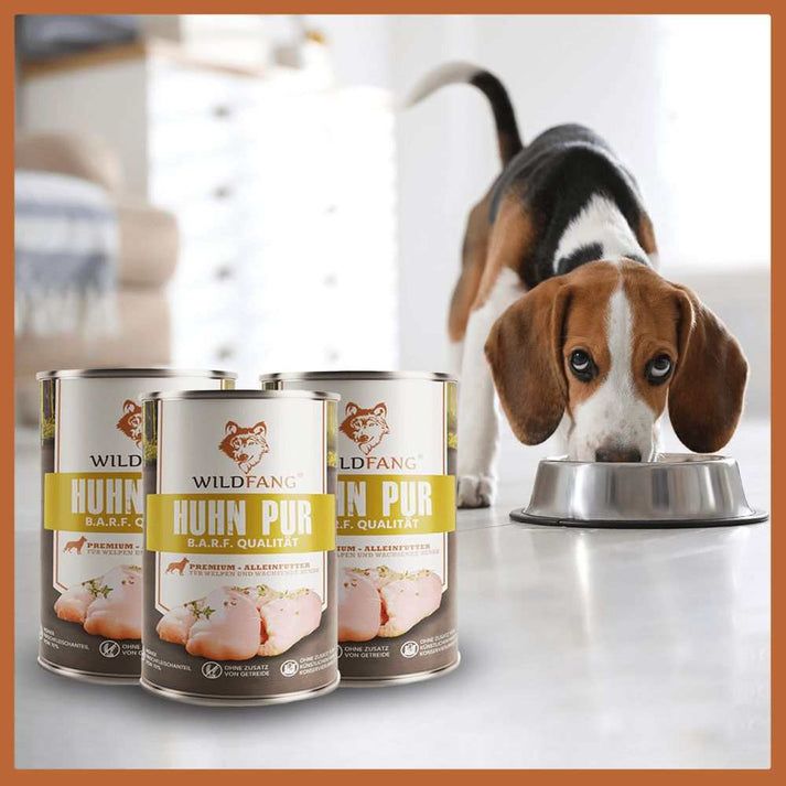 Tre lattine WILDFANG® Huhn pur e cane alla ciotola. Su sfondo chiaro.