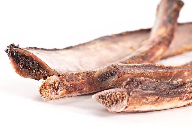 Primo piano di costole di cavallo essiccate. Colore marrone, struttura ossea visibile.