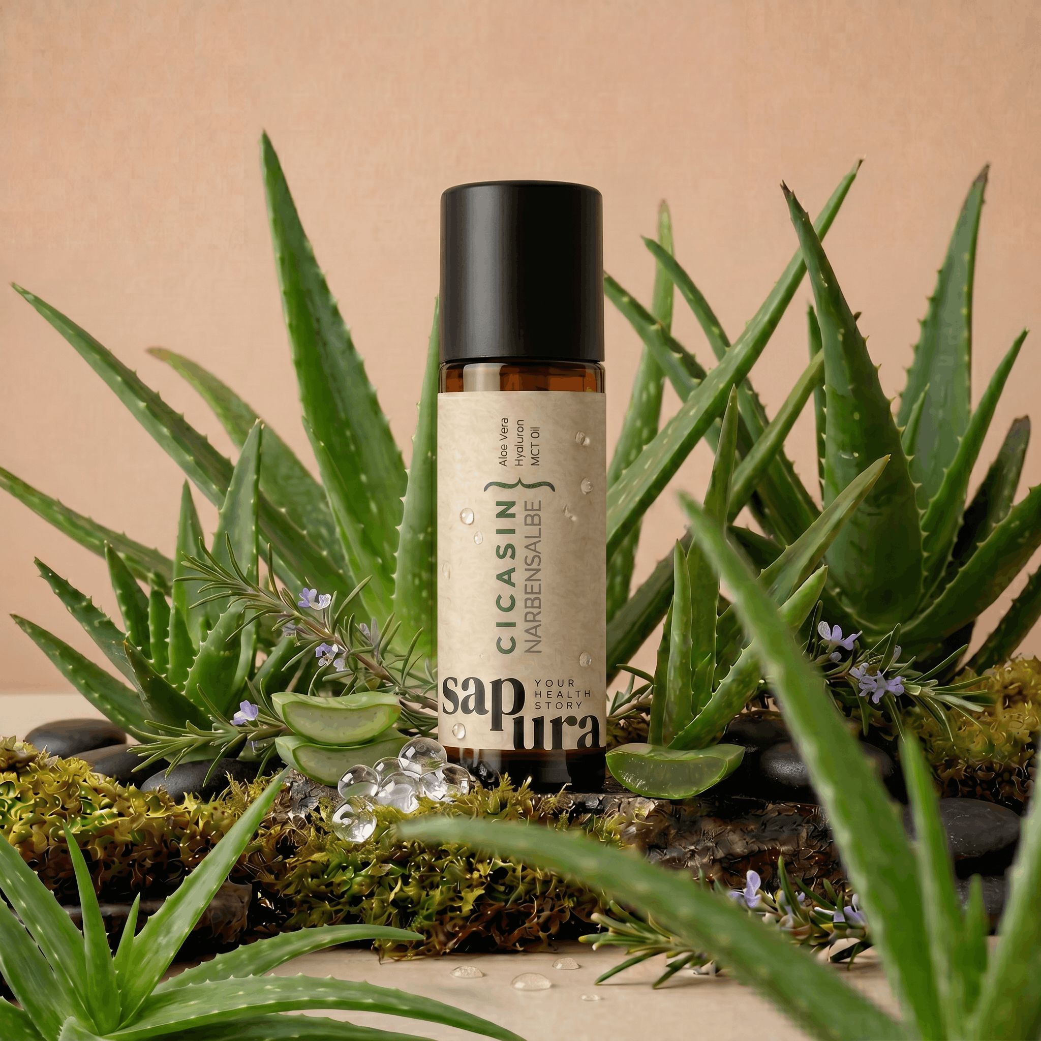 Tubo con dispenser a pompa circondato da piante di aloe vera e pietre, presentazione naturale.