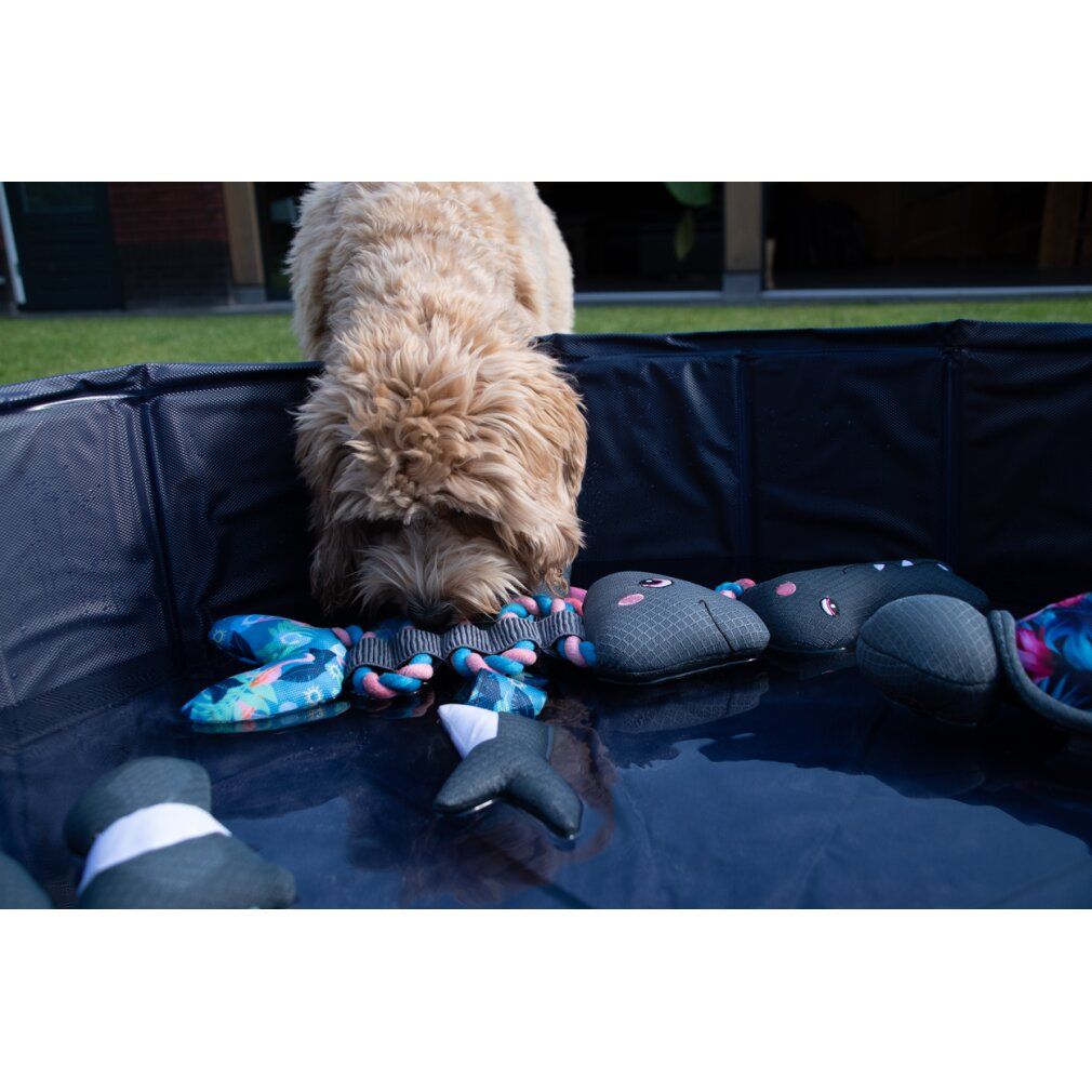 Cane in una vasca con giocattoli. Lisca di pesce, testa di pesce e altri. Giocattoli grigi e stampati. Design fenicottero.