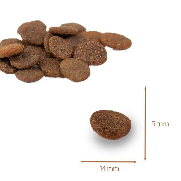 Crocchette per cani. Forma: ovale. Dimensioni: 14 mm x 5 mm. Su sfondo bianco.