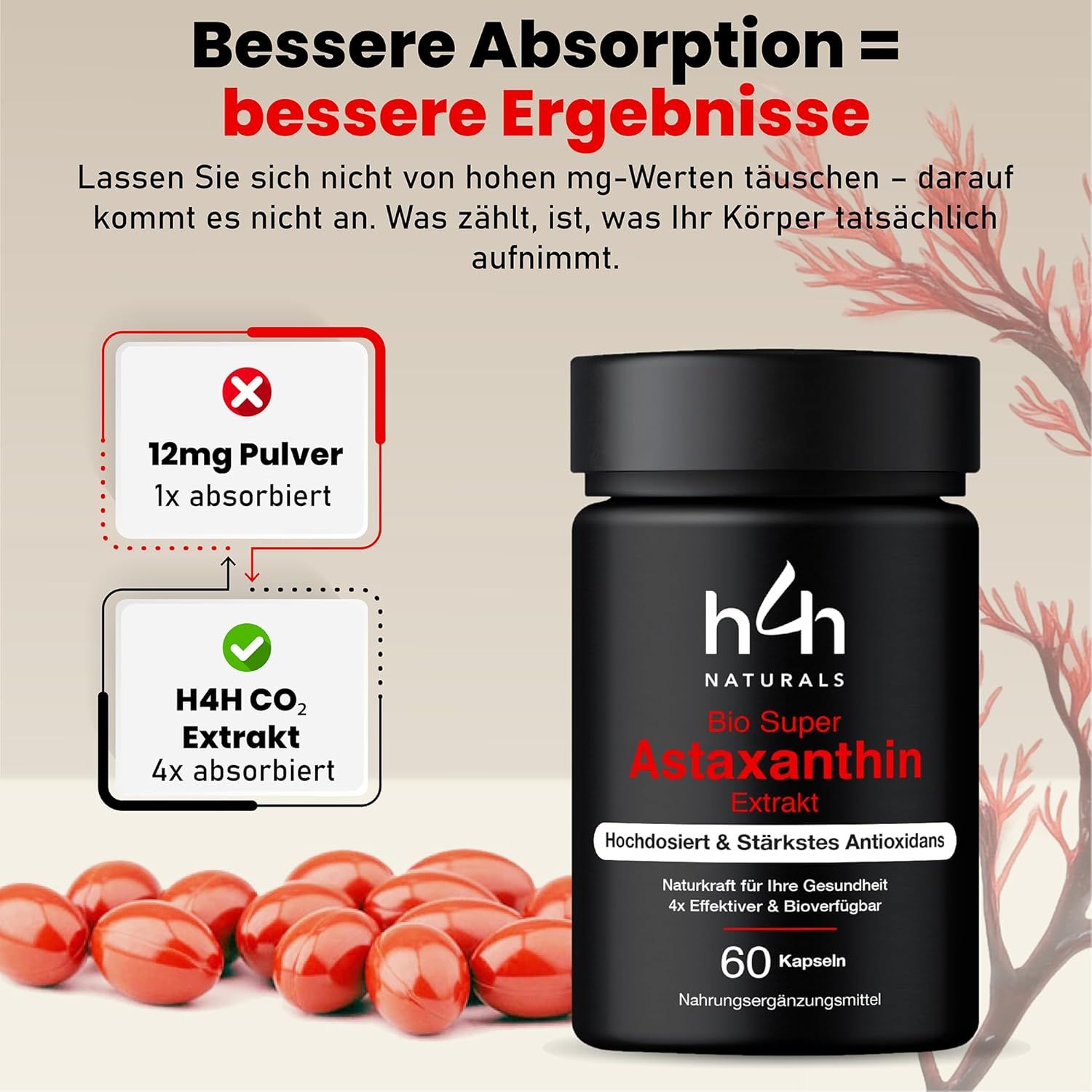 Confronto capsule. Sinistra: estratto H4H CO2, 4x assorbito. Destra: 12 mg polvere, 1x assorbito. Flacone nero con capsule rosse.
