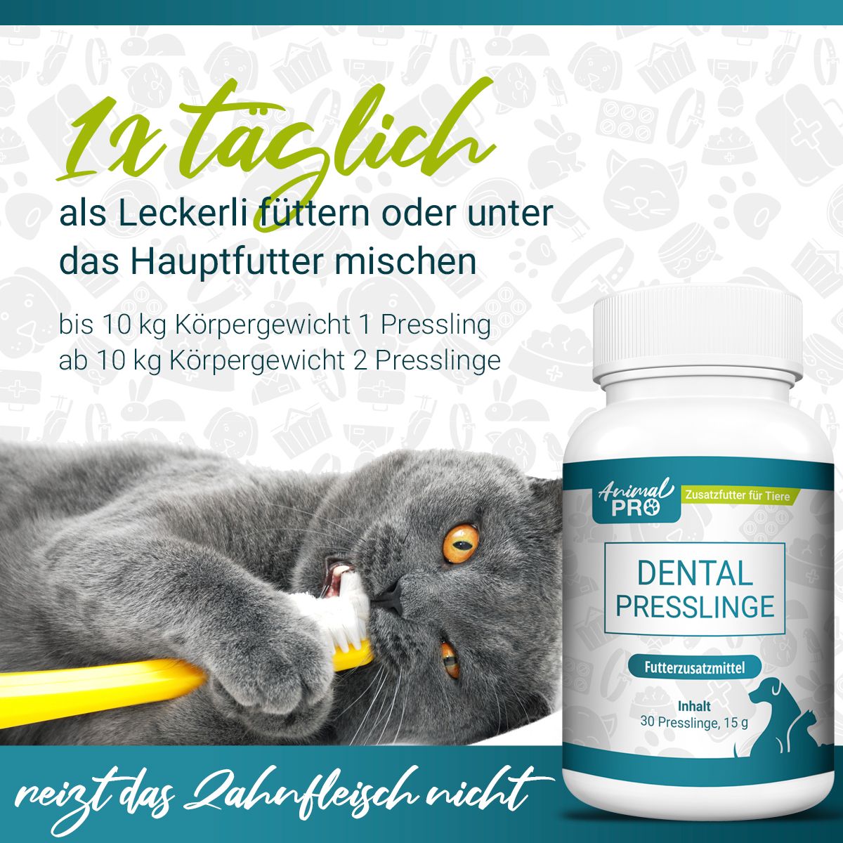 Gatto grigio con spazzolino in bocca, accanto a una bottiglia di Animal Pro Dental Presslinge.