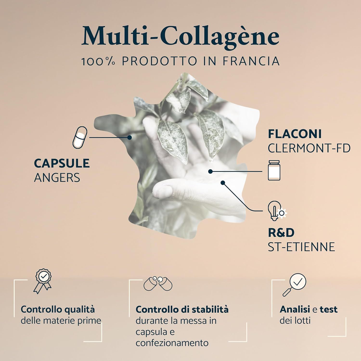 Apyforme Multicollagene Collagene + Acido Ialuronico