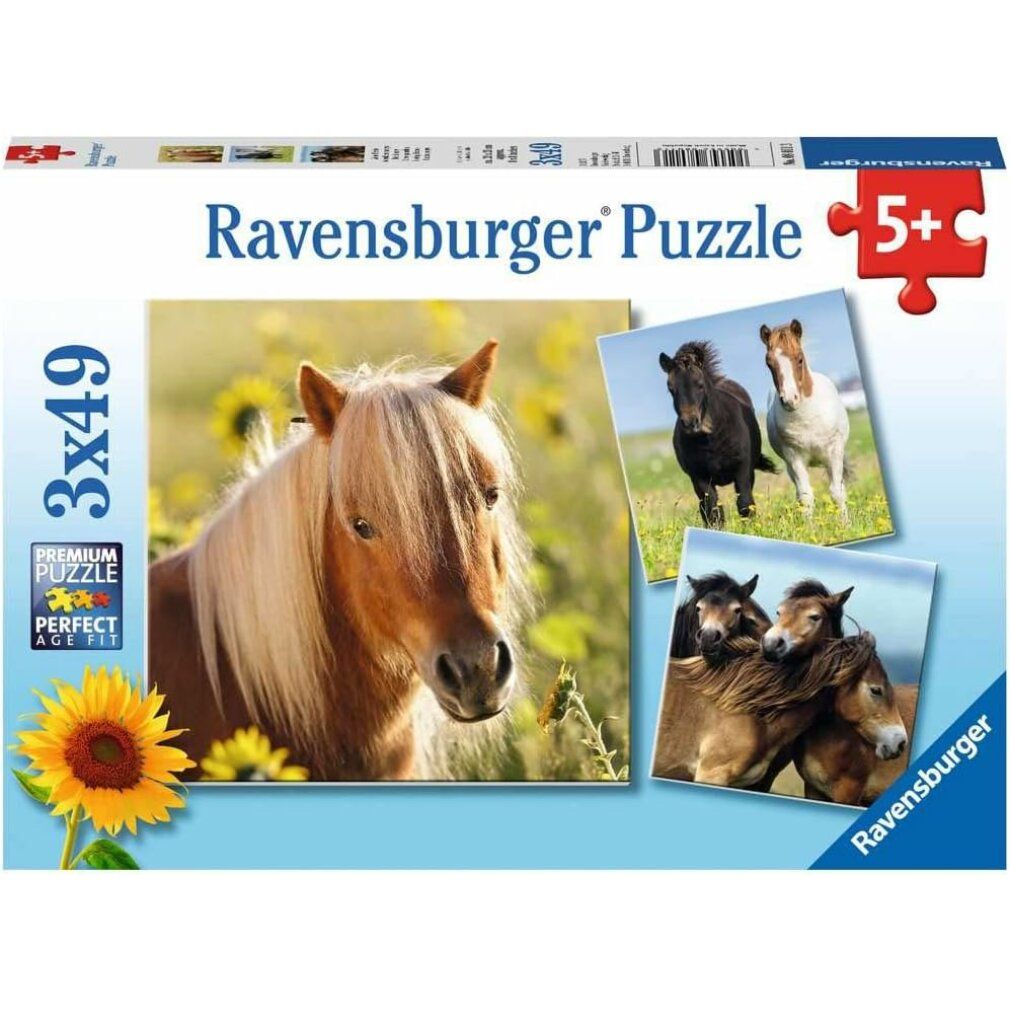 Puzzle 3x49 pezzi Amore per i cavalli da 5 anni 3 puzzle inclusi mini poster come modelli