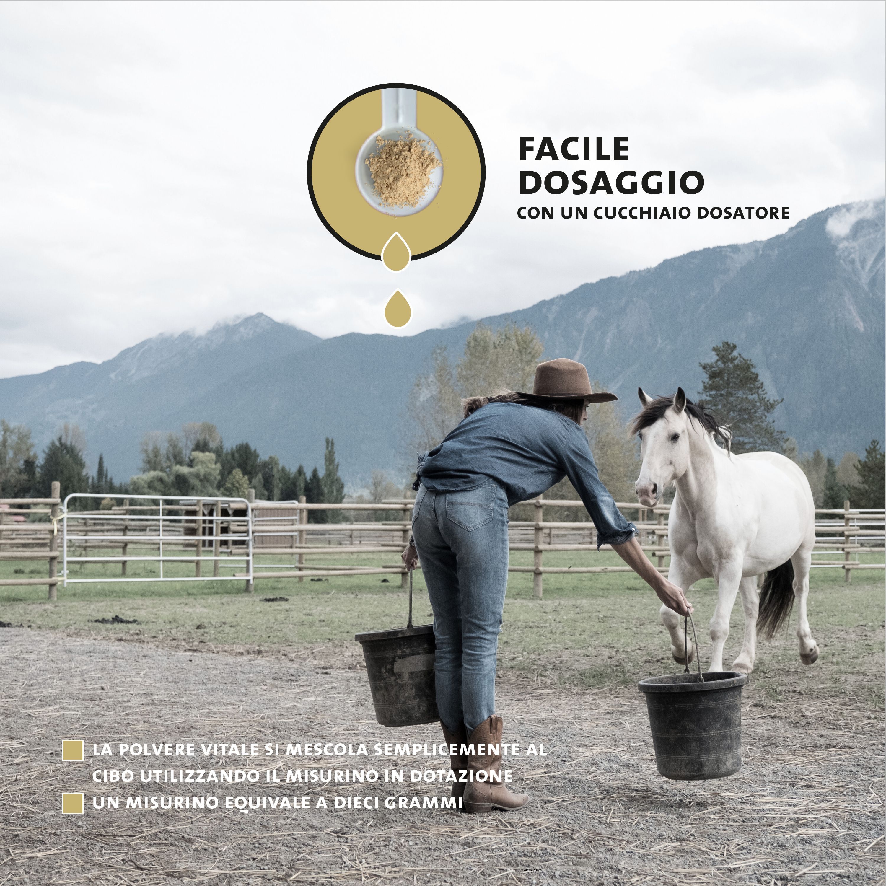 Donna che nutre un cavallo in un prato, dosaggio in polvere con misurino.