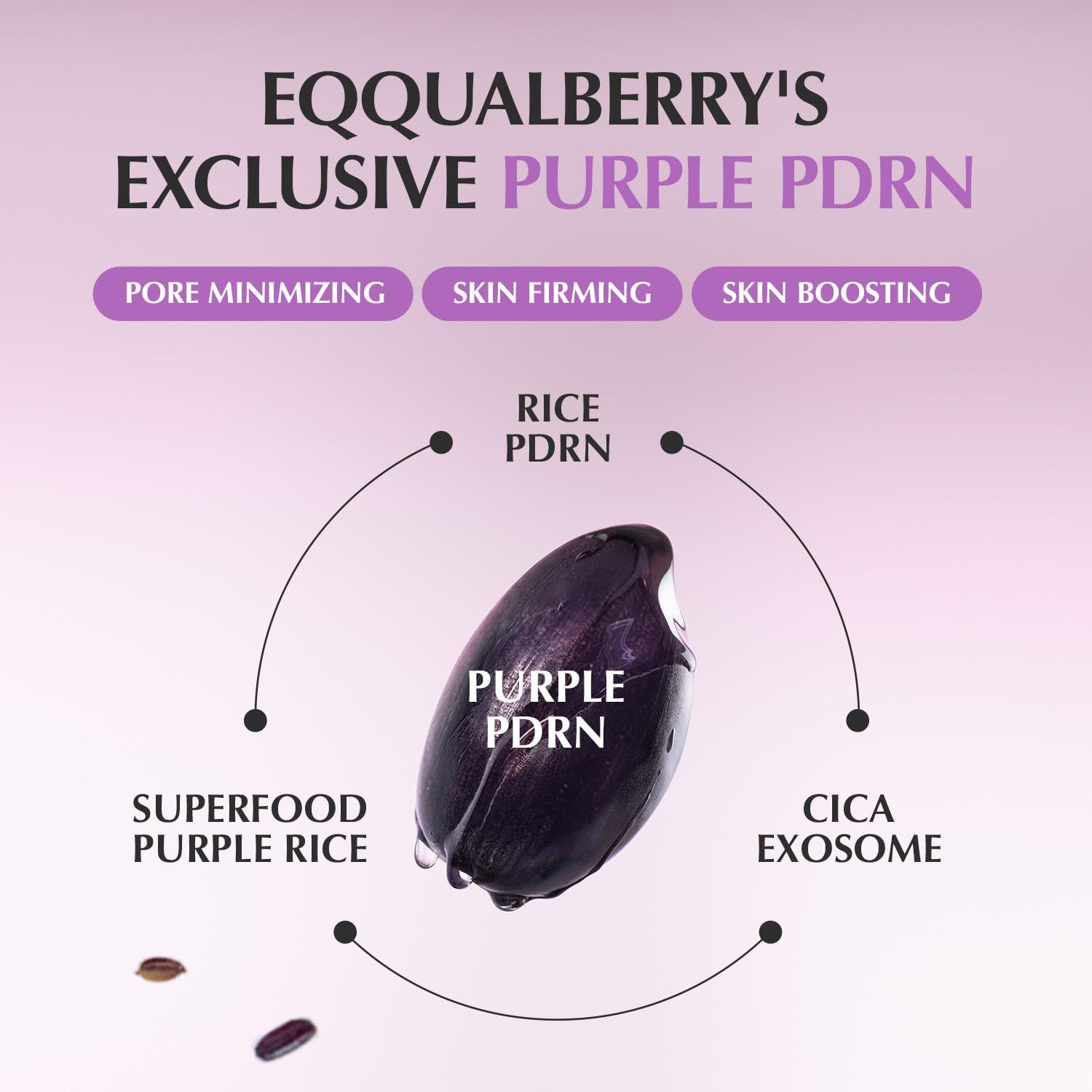 Illustrazione degli ingredienti. Riso viola, Cica Exosom, Superfood Purple Rice. Testo: Pore Minimizing, Skin Firming, Skin Boosting.