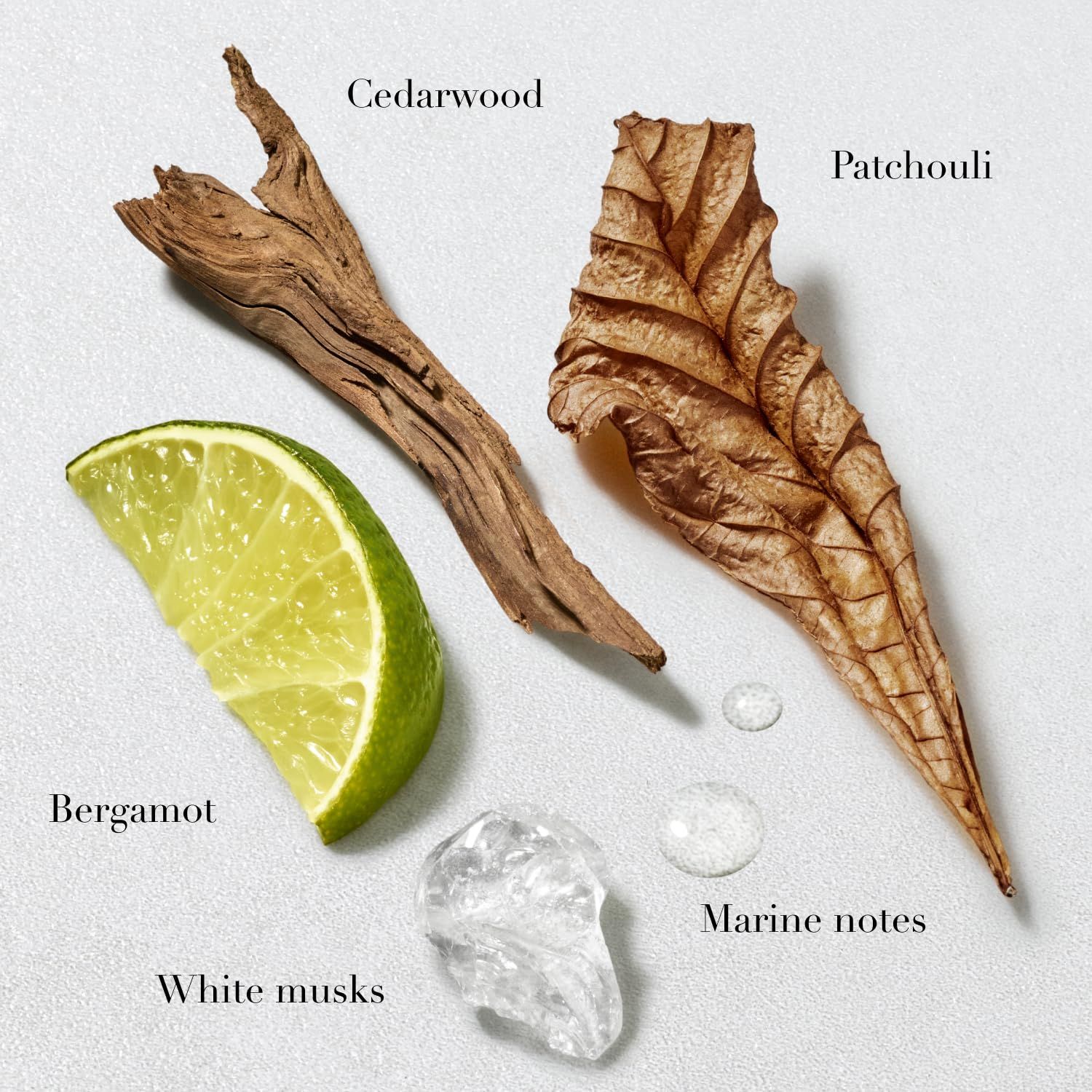 Fetta di limone, legno, foglie e gocce d'acqua. Etichette: bergamotto, legno di cedro, patchouli, note marine, muschi bianchi.