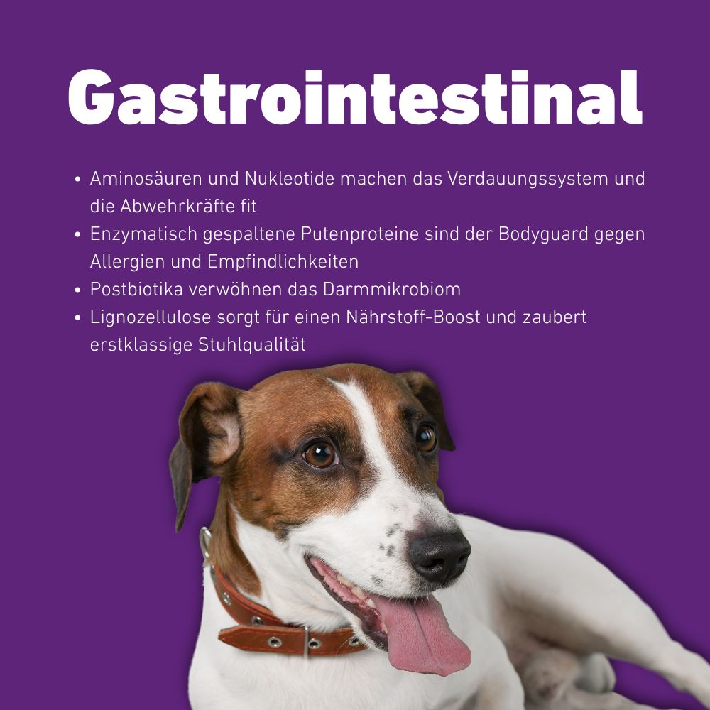 Cane con collare marrone. Testo: Gastrointestinal, aminoacidi, nucleotidi, sistema digestivo, difese immunitarie, allergie, sensibilità.