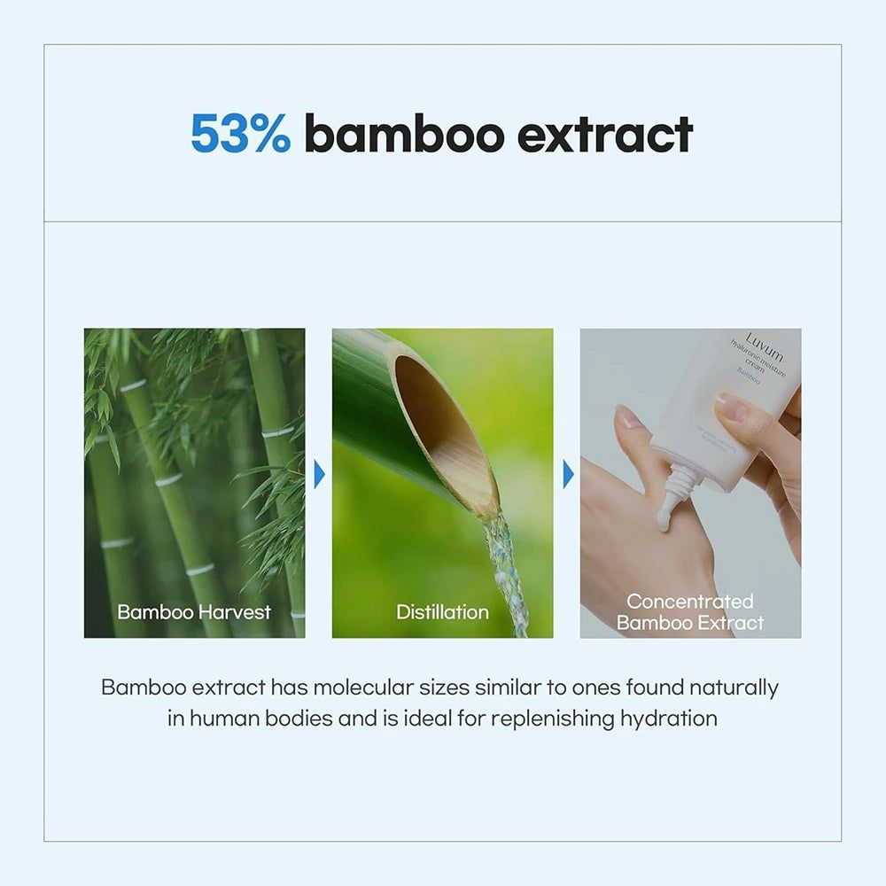 Grafica: 53% estratto di bambù. Immagini di bambù, distillazione e applicazione della crema. Testo: estratto di bambù ideale per l'idratazione.