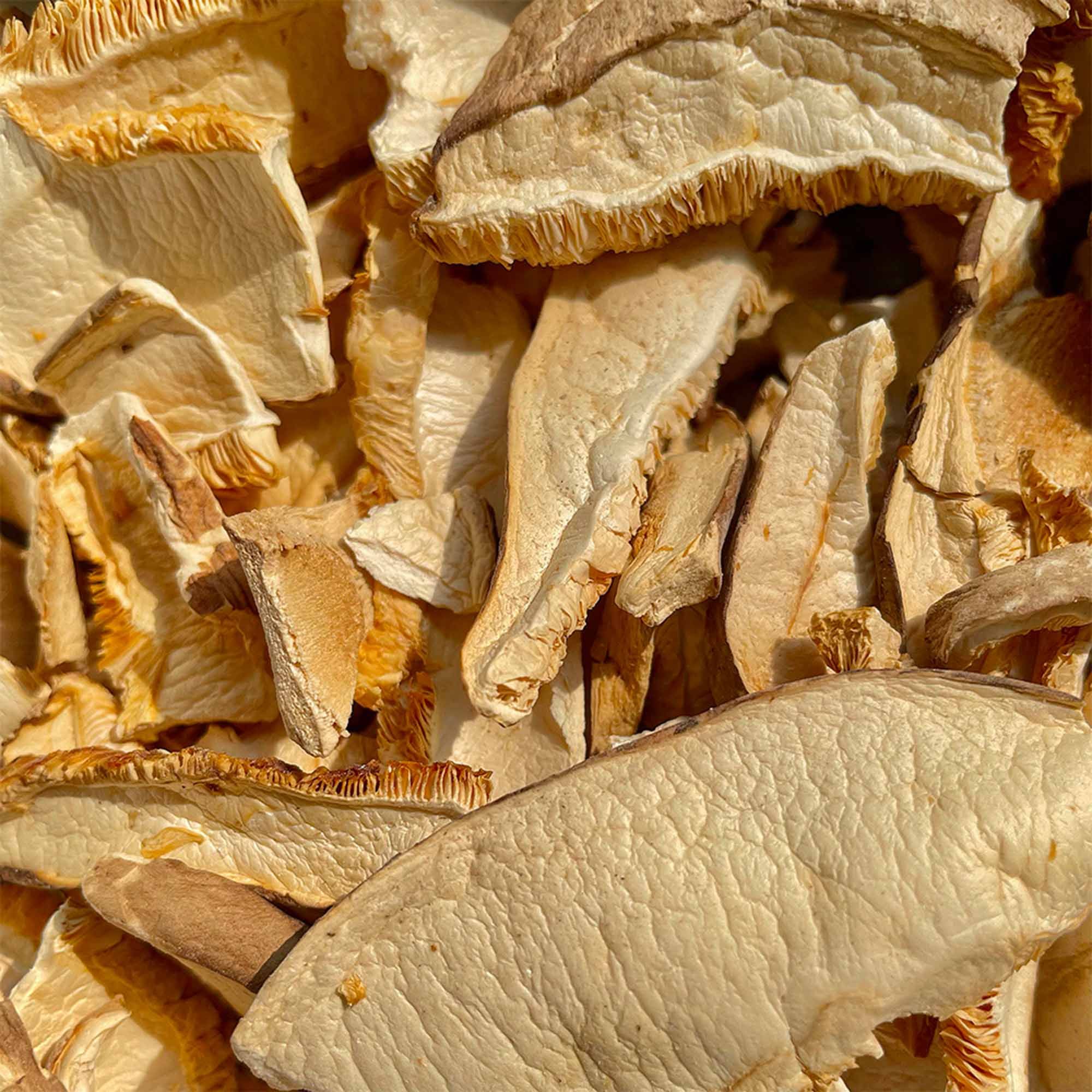 IoBoscoVivo Funghi Shiitake secchi a Fette BIO