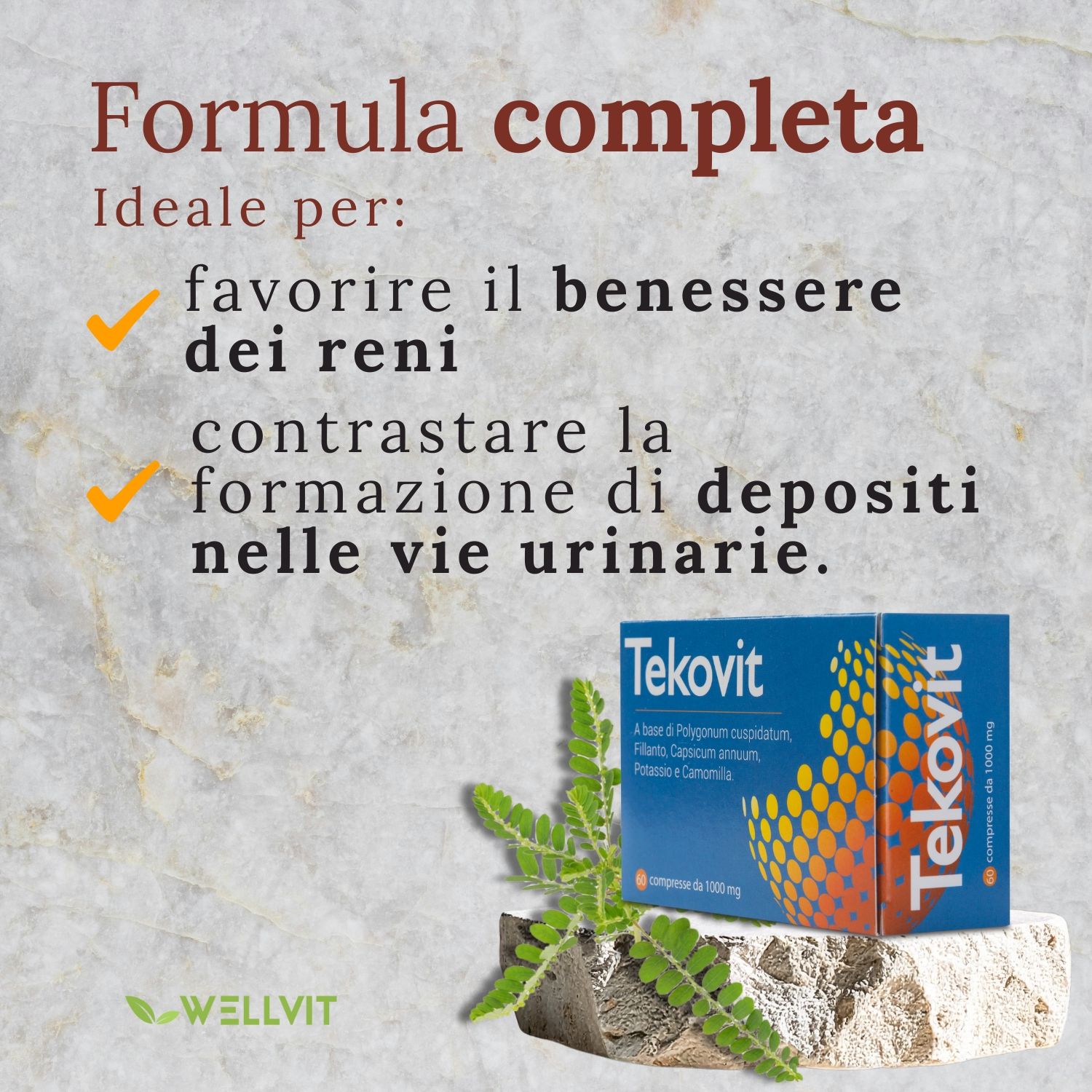 Wellvit | Tekovit, Spaccapietre, Integratore per Calcoli Renali, Drenaggio Liquidi