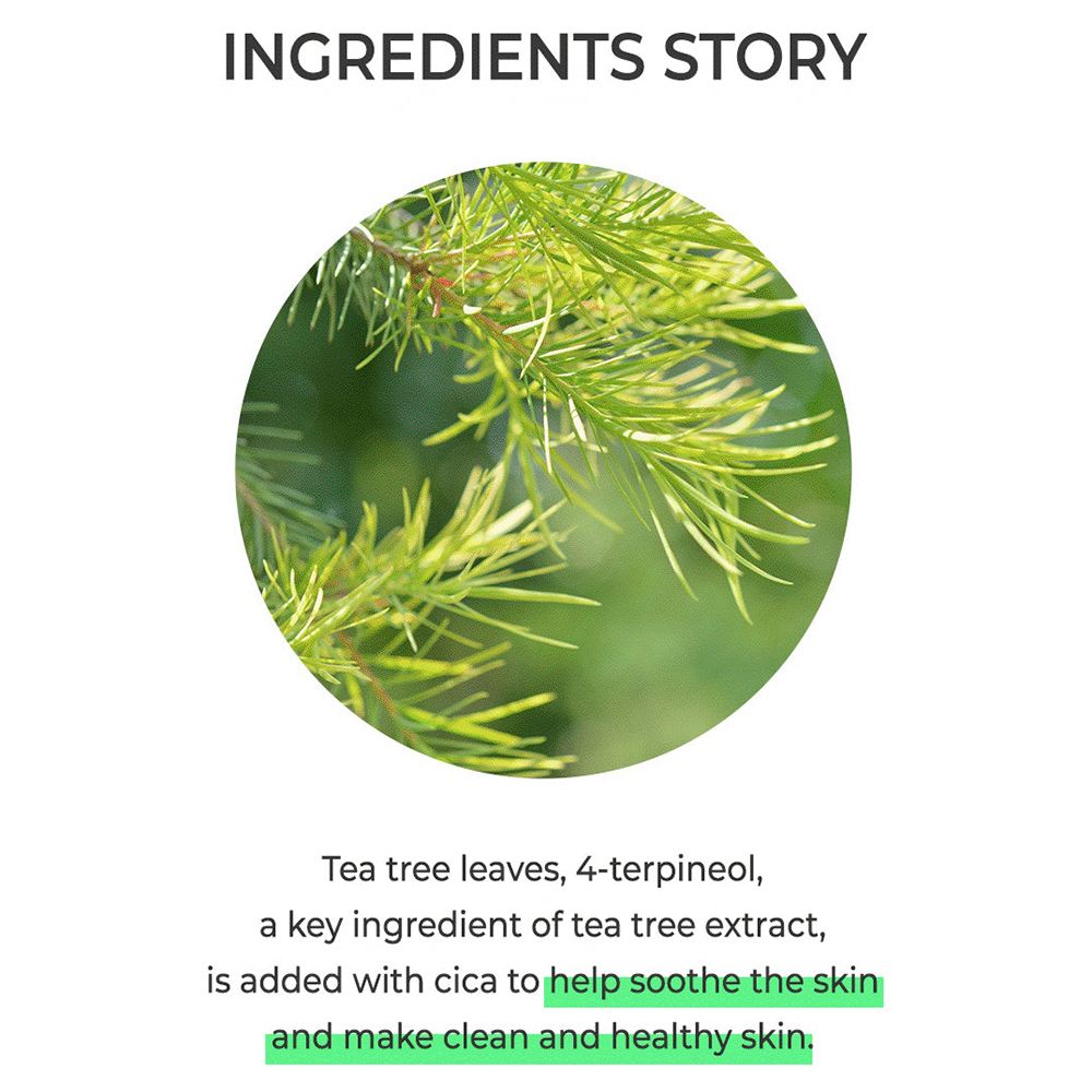 Primo piano di foglie di tea tree. Testo: Tea tree leaves, 4-terpineol, a key ingredient... to help soothe the skin and make clean and healthy skin.