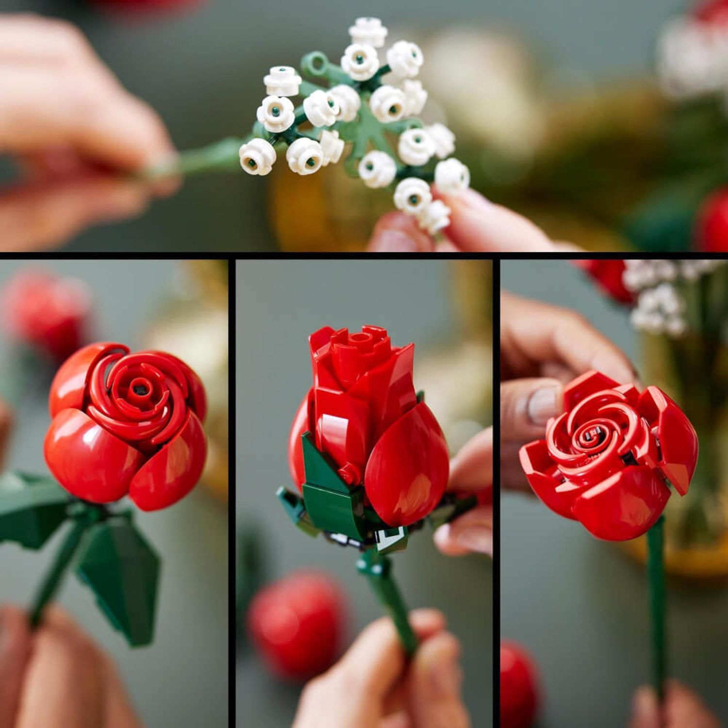 Primi piani di rose e fiori bianchi. Vengono tenute singole rose.