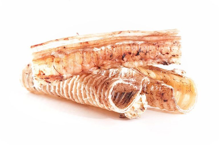 Primo piano di trachea di manzo essiccate. Le trachea sono marroni chiare e tubolari. Alcune sono impilate.
