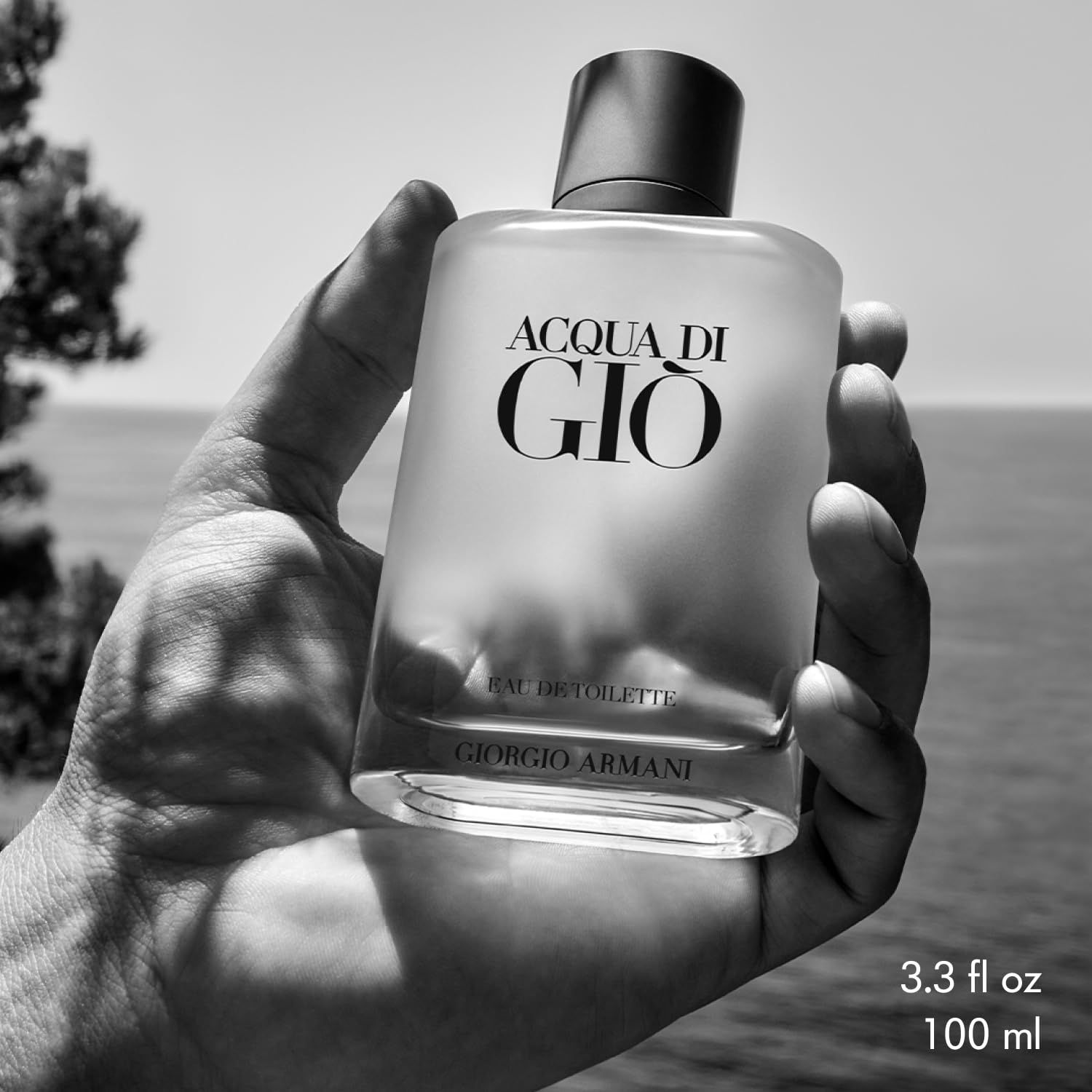 Flacone in vetro con tappo argentato. Scritta "ACQUA DI GIÒ" e "GIORGIO ARMANI". Flacone tenuto in mano.