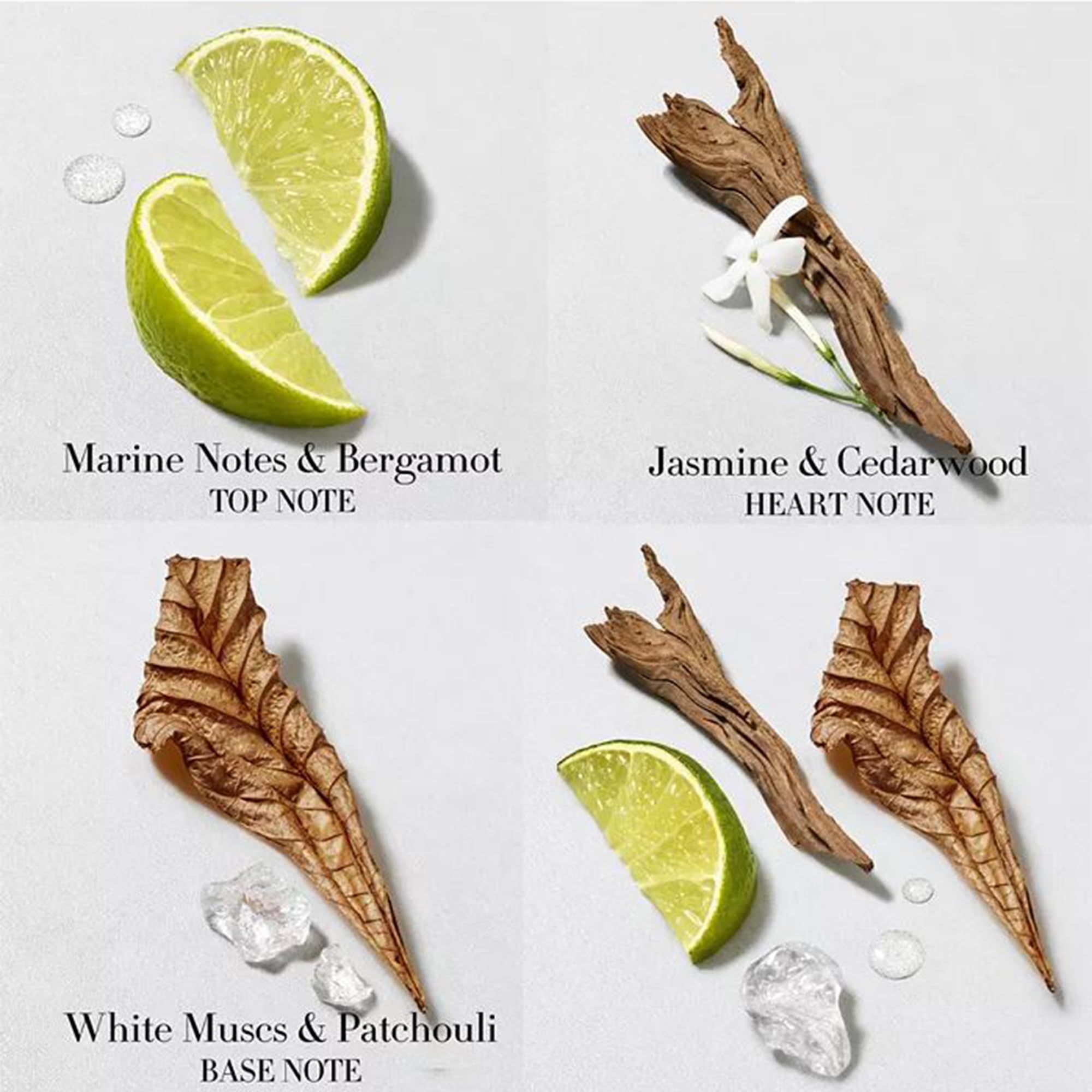 Limoni, pezzi di legno, fiori e cubetti di ghiaccio. Testo: "Marine Notes & Bergamot", "Jasmine & Cedarwood", "White Musces & Patchouli".