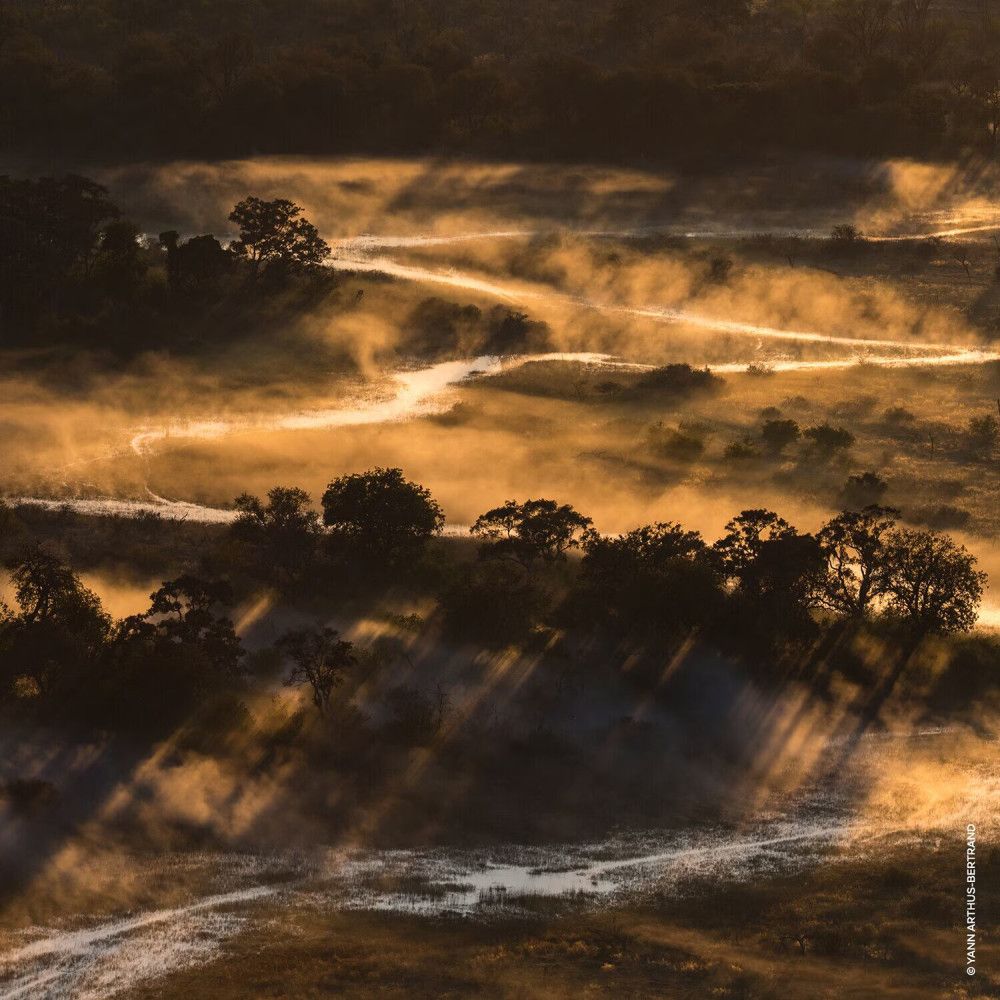 Paesaggio con alberi e nebbia. I raggi del sole attraversano la nebbia. Il sentiero serpeggia attraverso il paesaggio.
