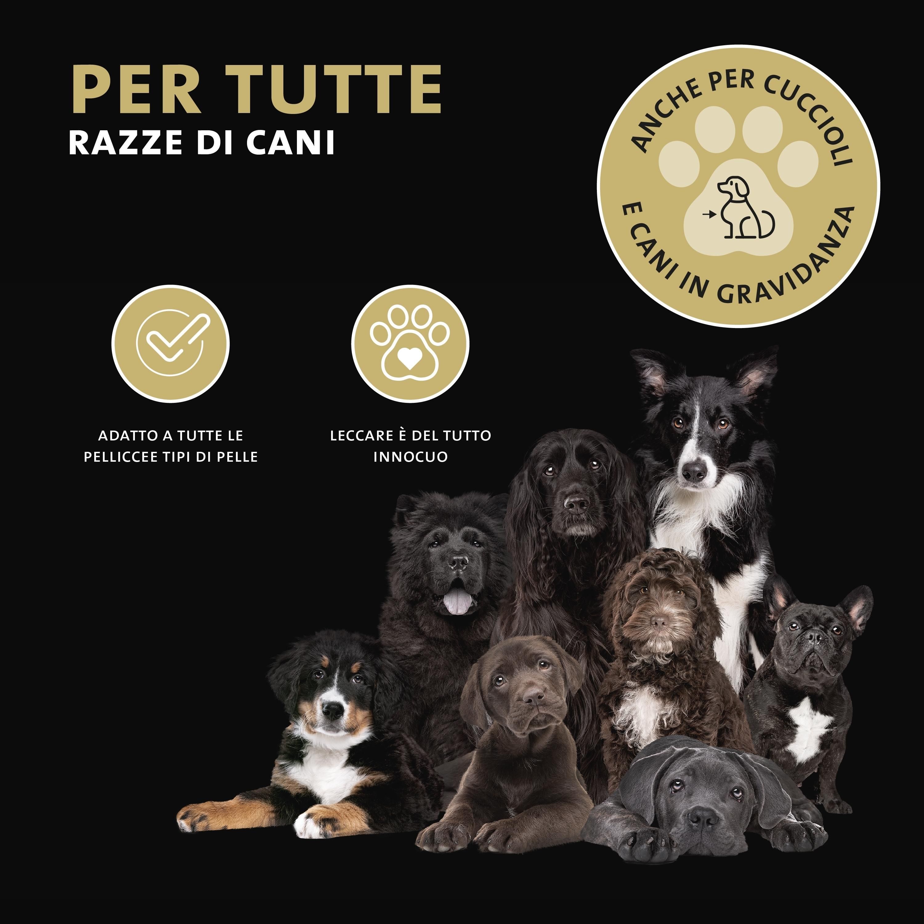 Diverse razze di cani su sfondo nero. Testo: Per tutte le razze di cani. Anche per cuccioli e cagne in gravidanza.
