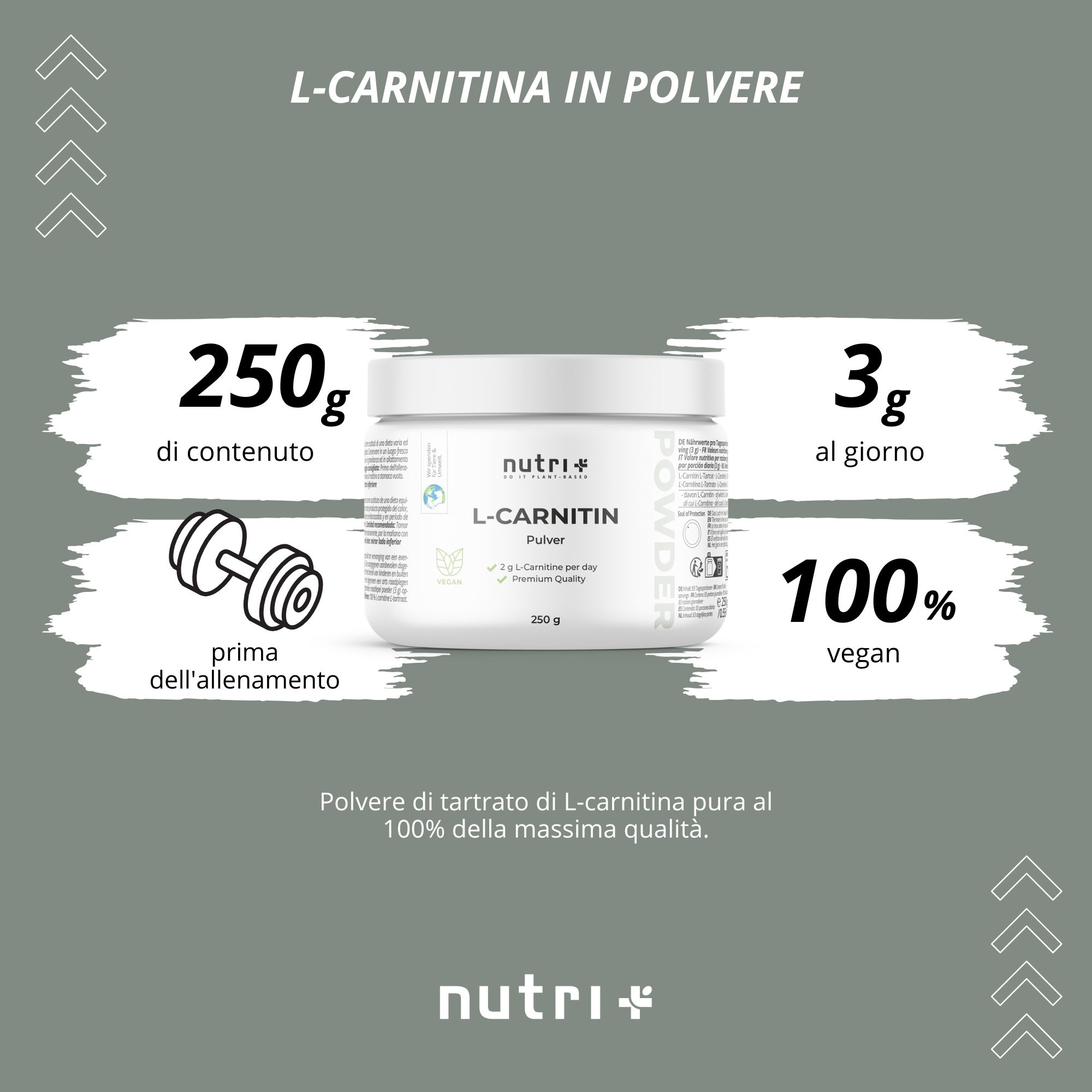 Polvere di L-Carnitina: 250g di contenuto, 3g al giorno, prima dell'allenamento, 100% vegan.