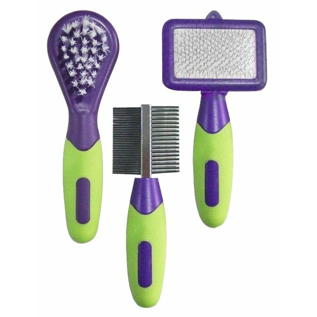 Set per la toelettatura. Spazzola, pettine e striglia con manici viola e verdi. Su sfondo bianco.
