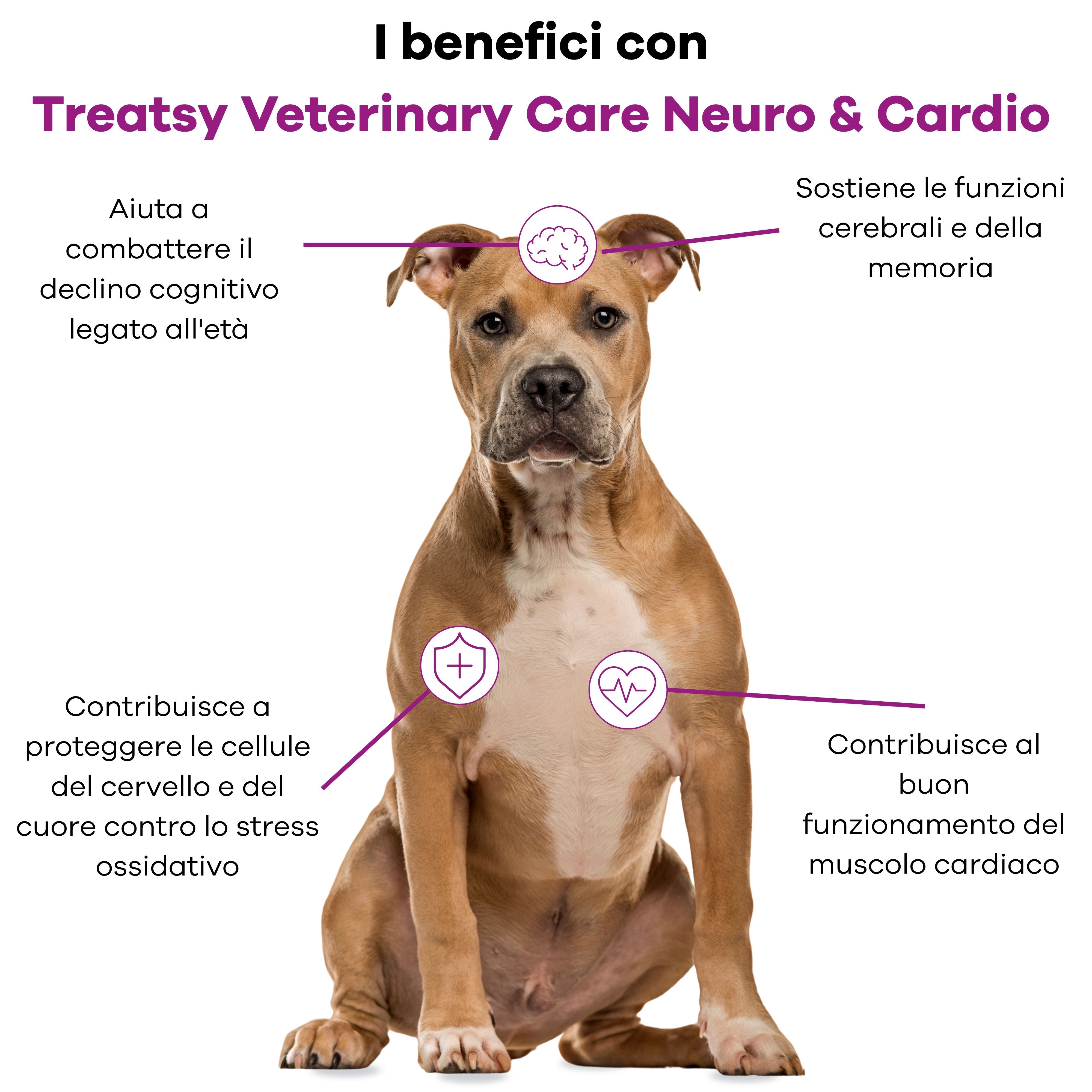 Un cane seduto è evidenziato con icone per cervello, cuore e protezione cellulare.