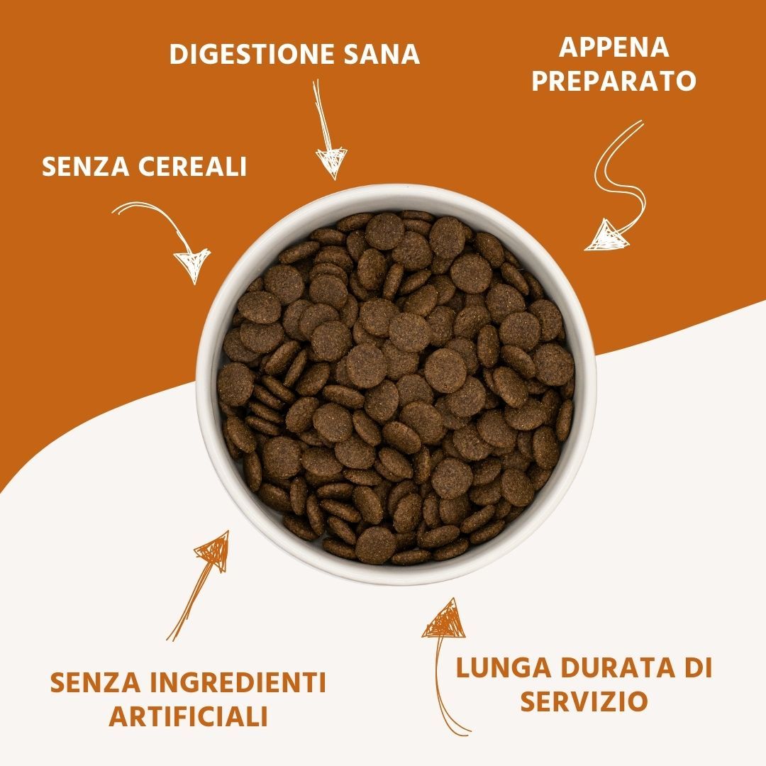 Primo piano di crocchette. Frecce che indicano: Senza cereali, digestione sana, senza ingredienti artificiali, lunga durata di servizio, appena preparato.