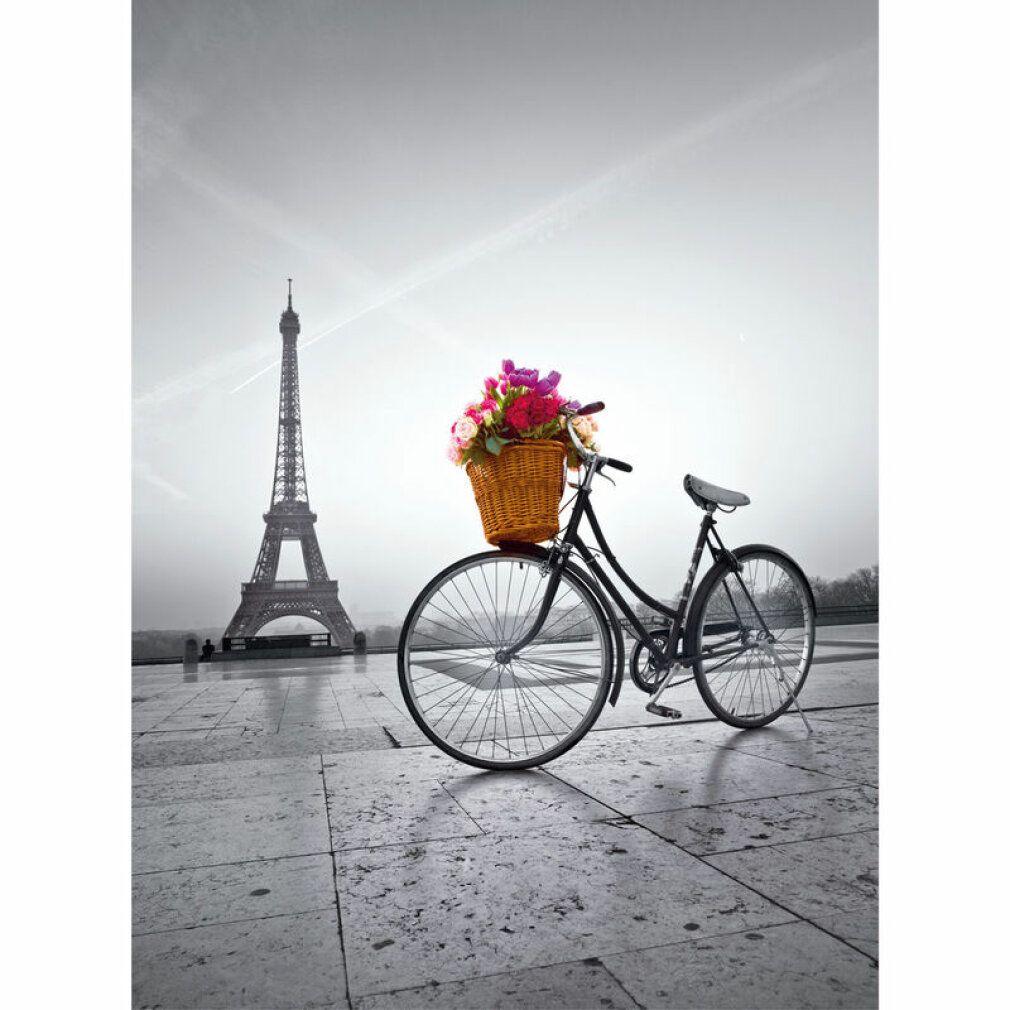 Immagine in bianco e nero: bicicletta con cesto di fiori davanti alla Torre Eiffel. Pavimentazione in primo piano.