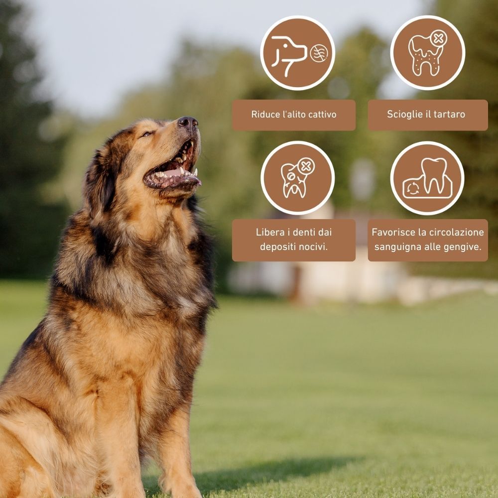 Cane nell'erba. Testo: Riduce l'alito cattivo, scioglie il tartaro, libera i denti dai depositi, favorisce la circolazione sanguigna alle gengive.