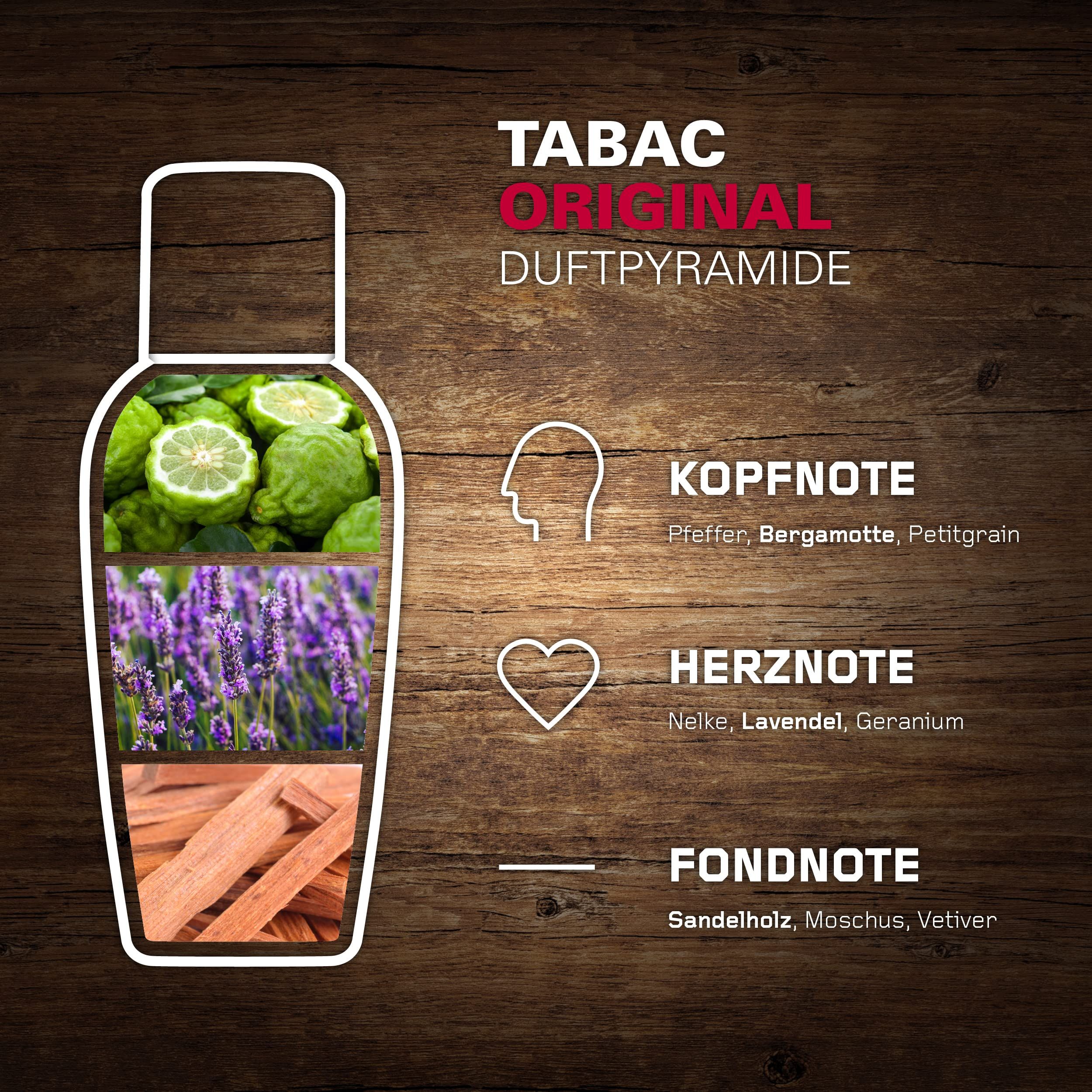 Grafica di un flacone con ingredienti: bergamotto, lavanda, legno di sandalo.