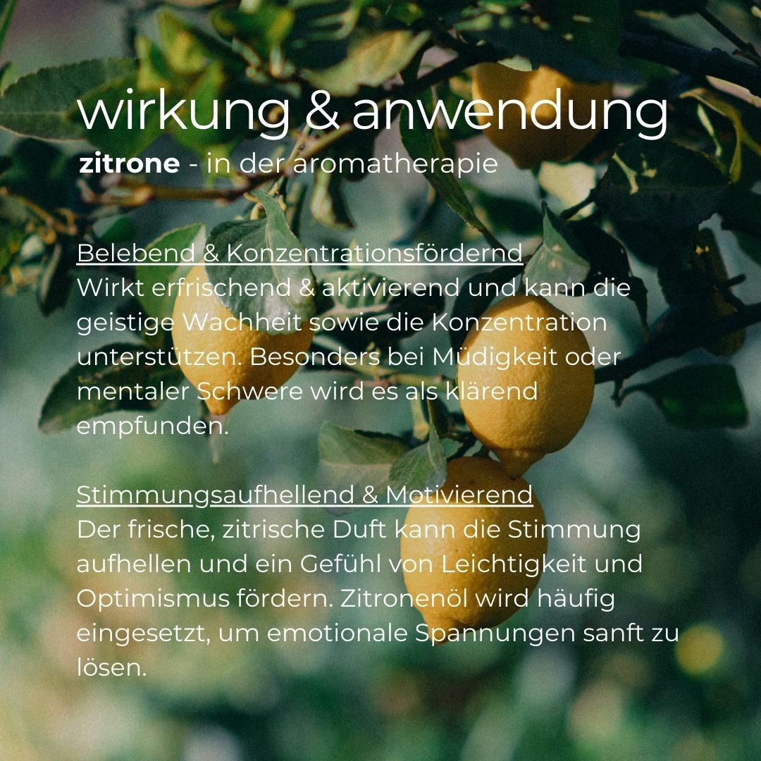 Testo sul limone in aromaterapia. Limoni su un ramo.